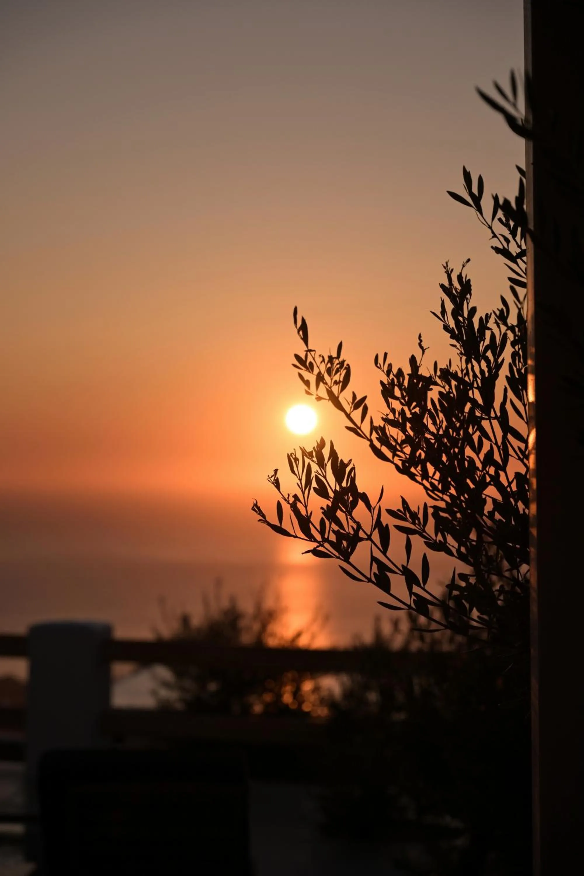 Splendour Hotel and Suites