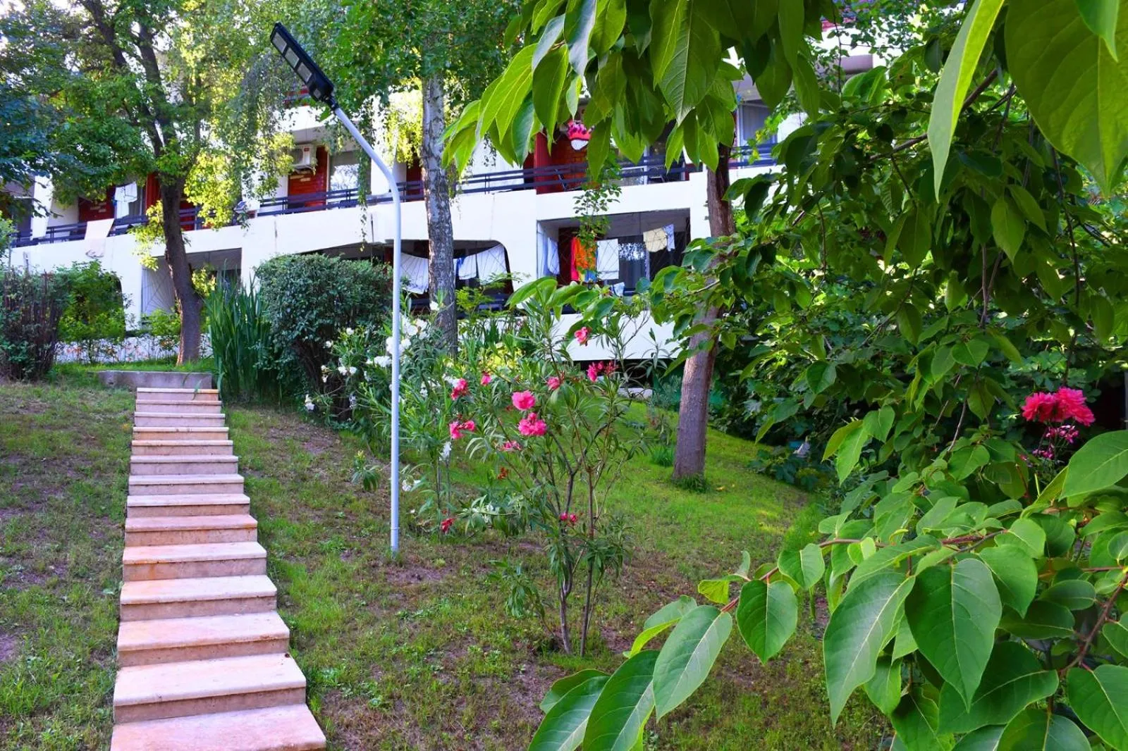 Garden in Hotel Sanda