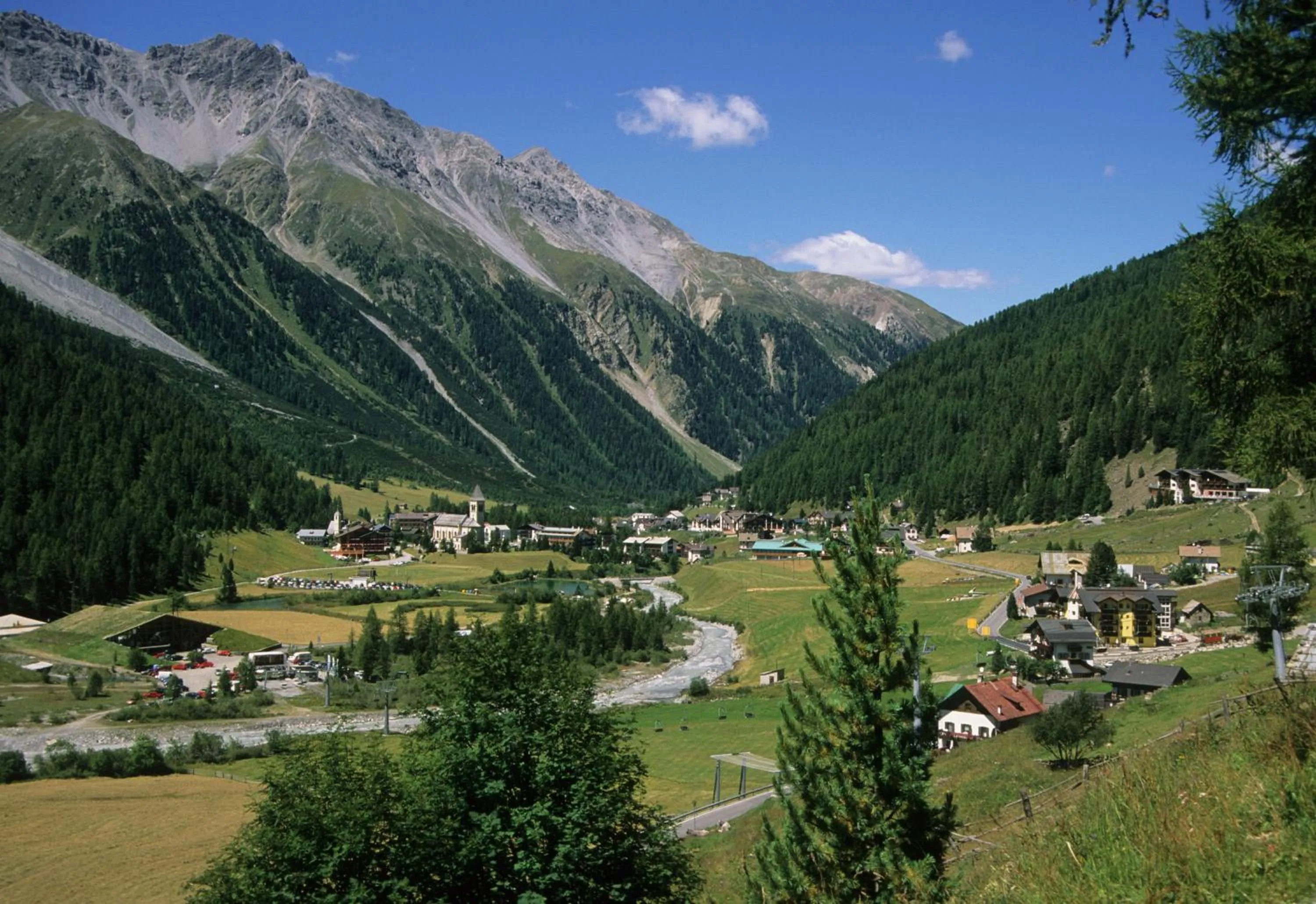 Natural landscape in Hotel Mignon