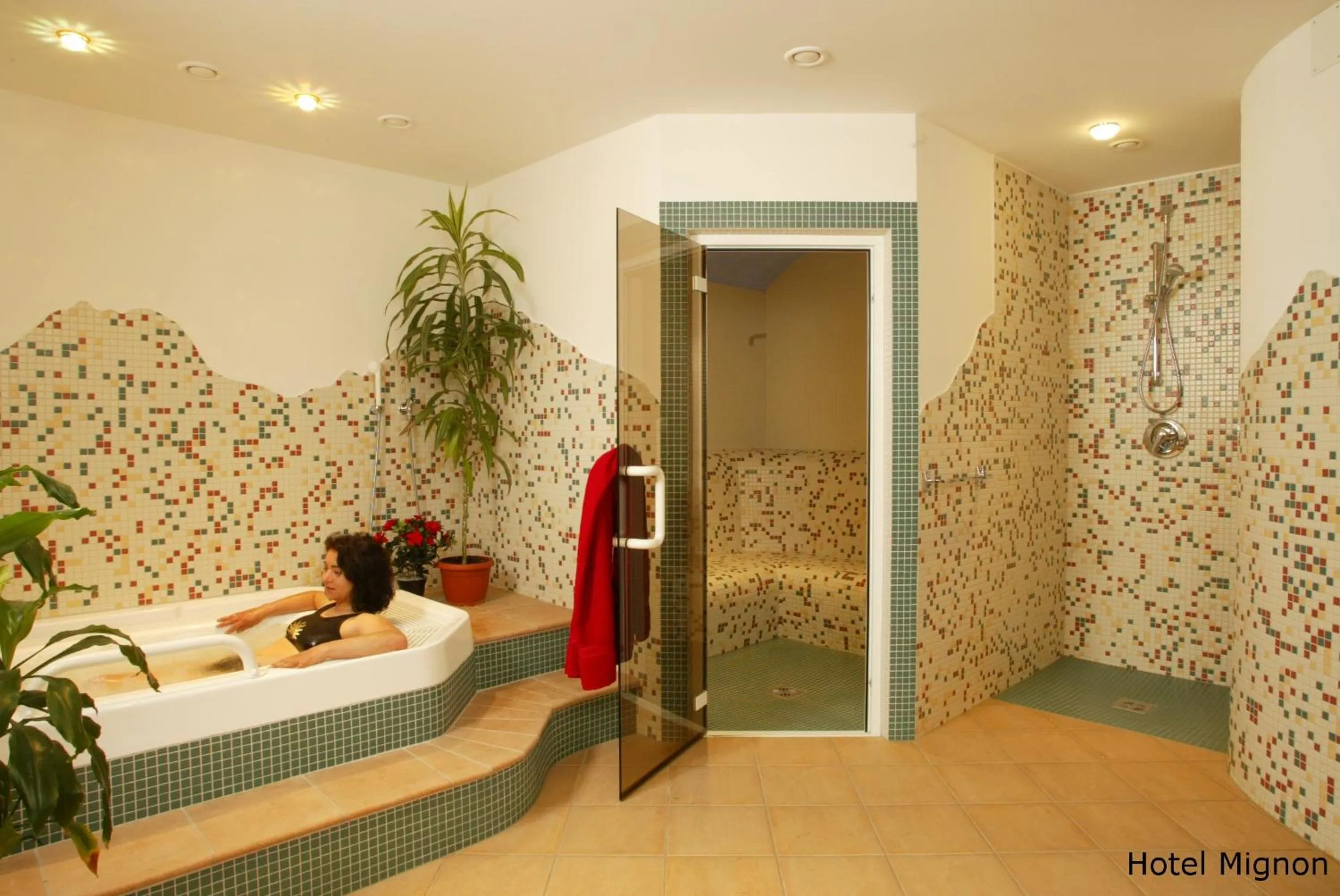 Spa and wellness centre/facilities in Hotel Mignon
