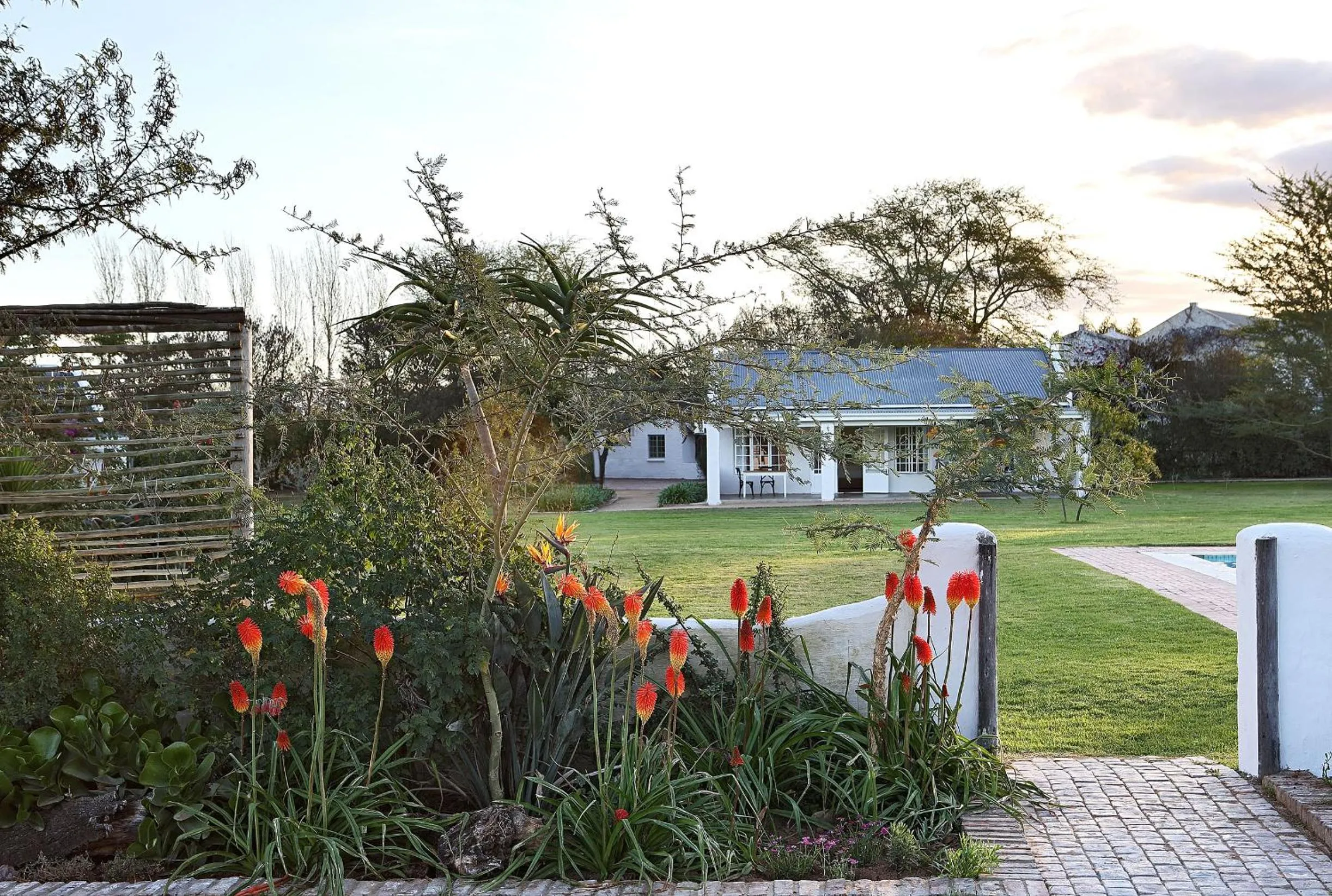 Day in Elephant House