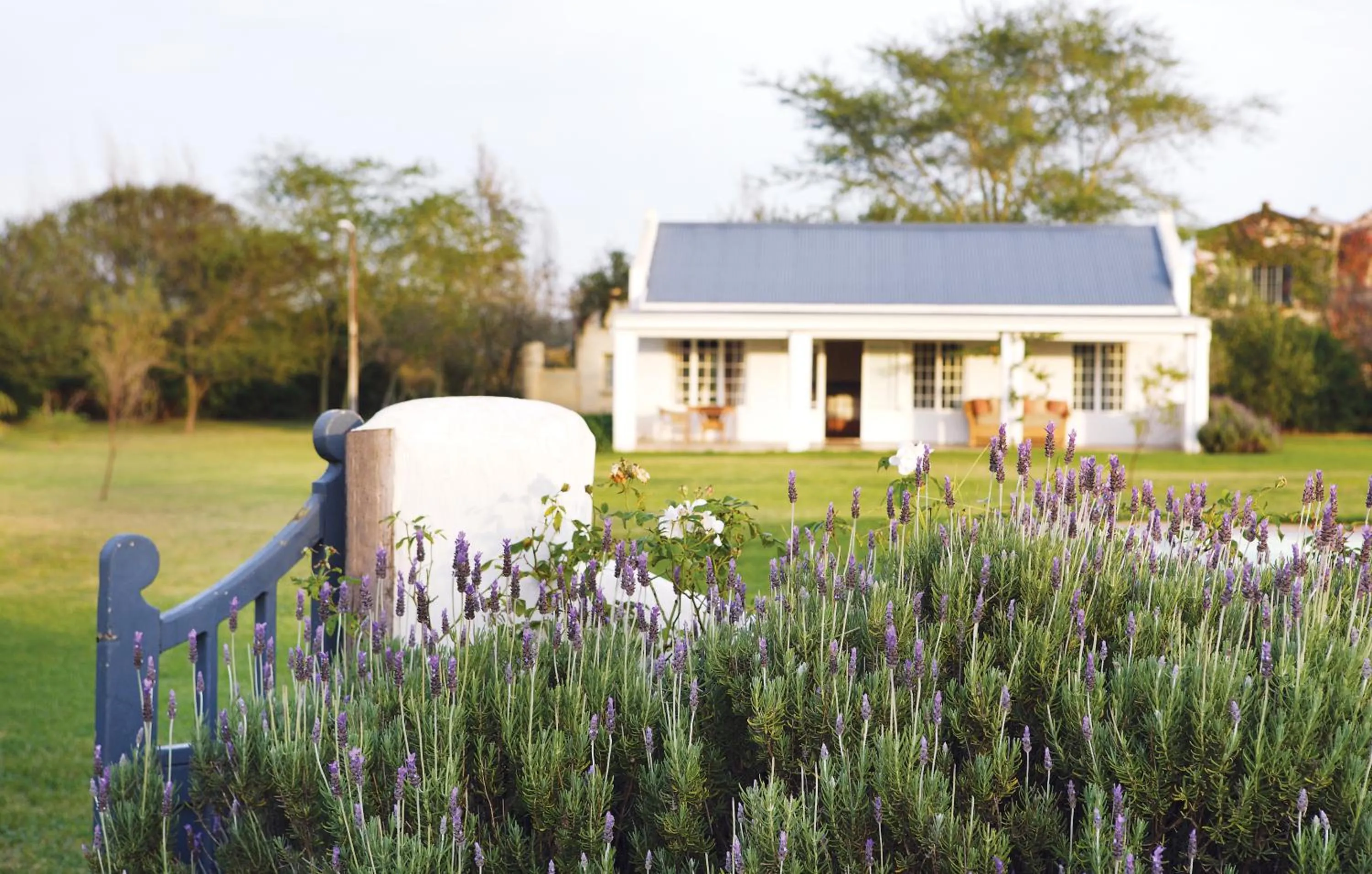 Facade/entrance in Elephant House