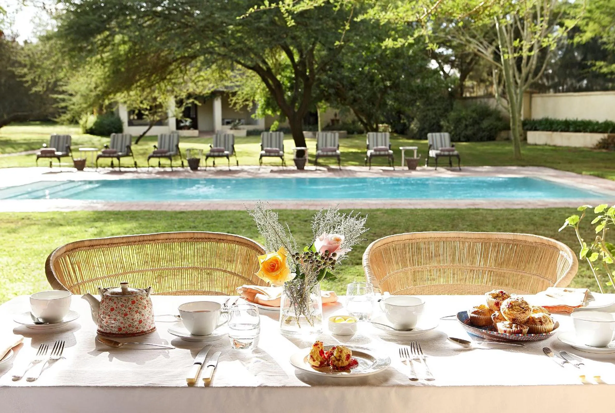 Food in Elephant House