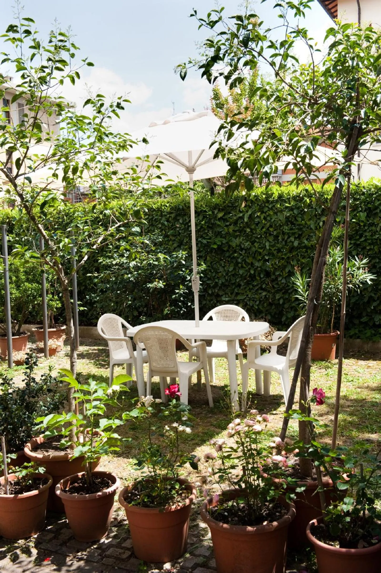 Garden in Hotel La Toscana