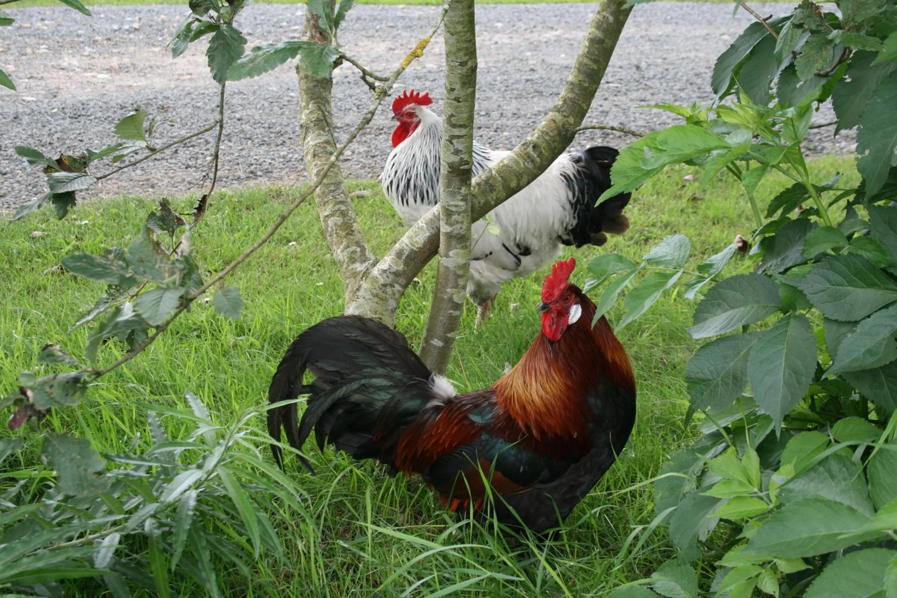 Other in Sov Godt i Arnborg Bed & Breakfast