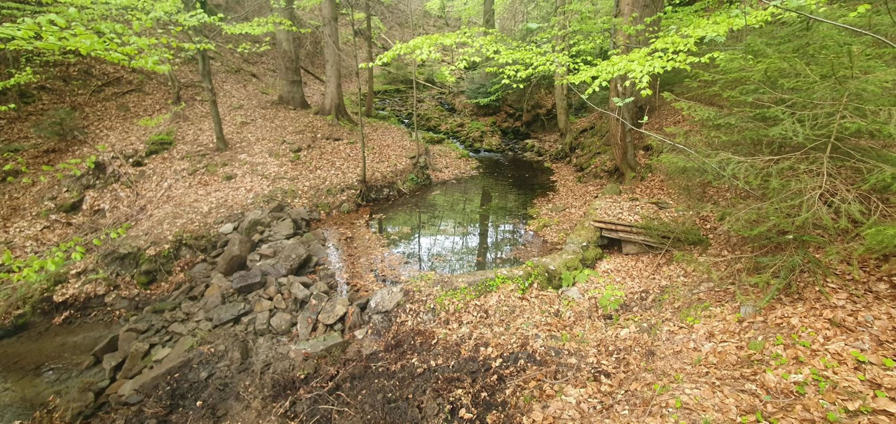 Domki Brenna Leśnica