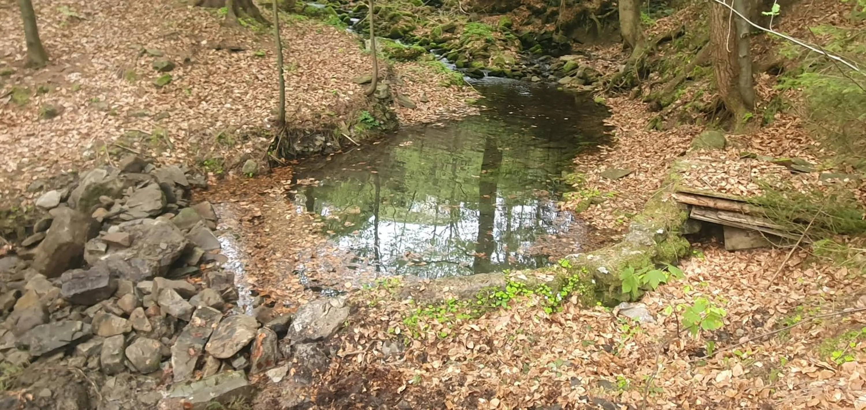 Domki Brenna Leśnica