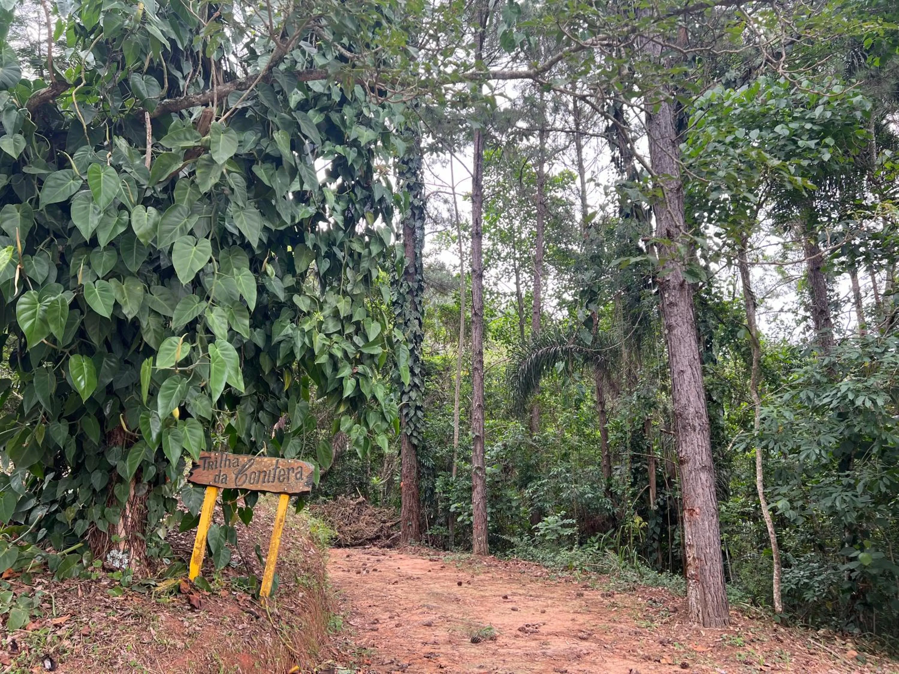 Guararema Parque Hotel