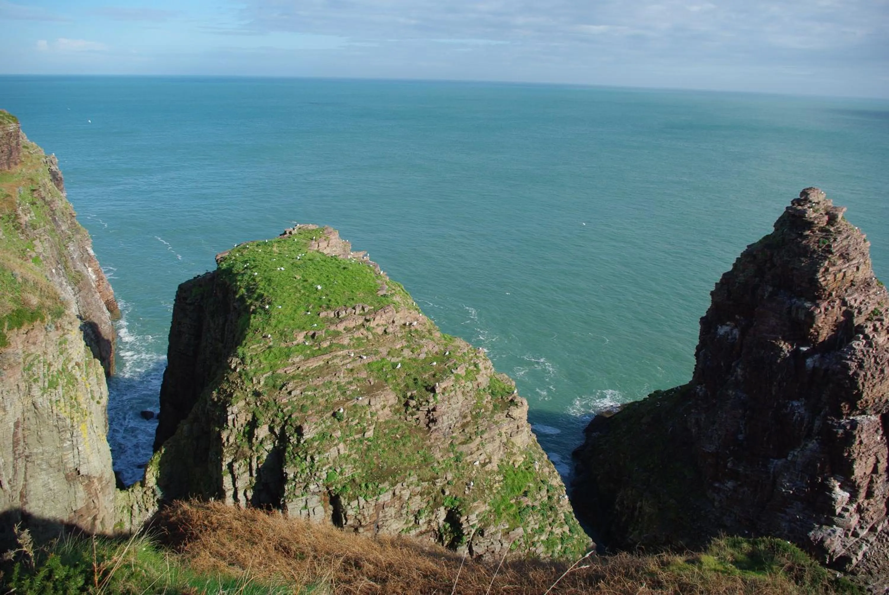 Natural landscape in Le Bon Cap