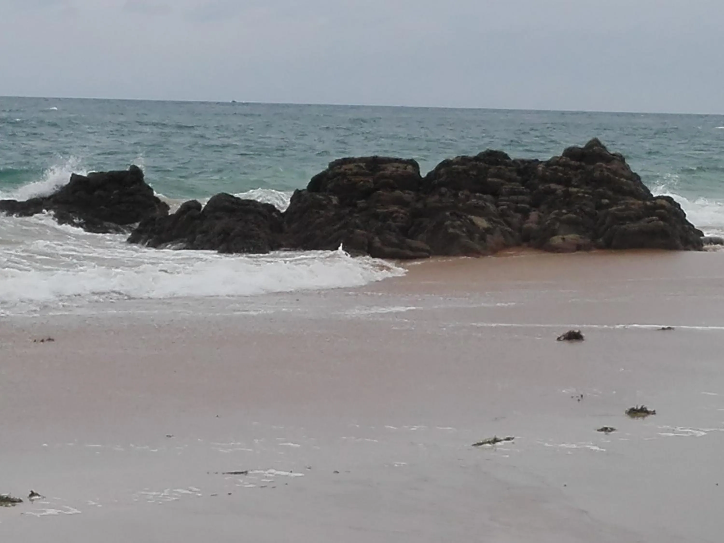 Natural landscape in Le Bon Cap