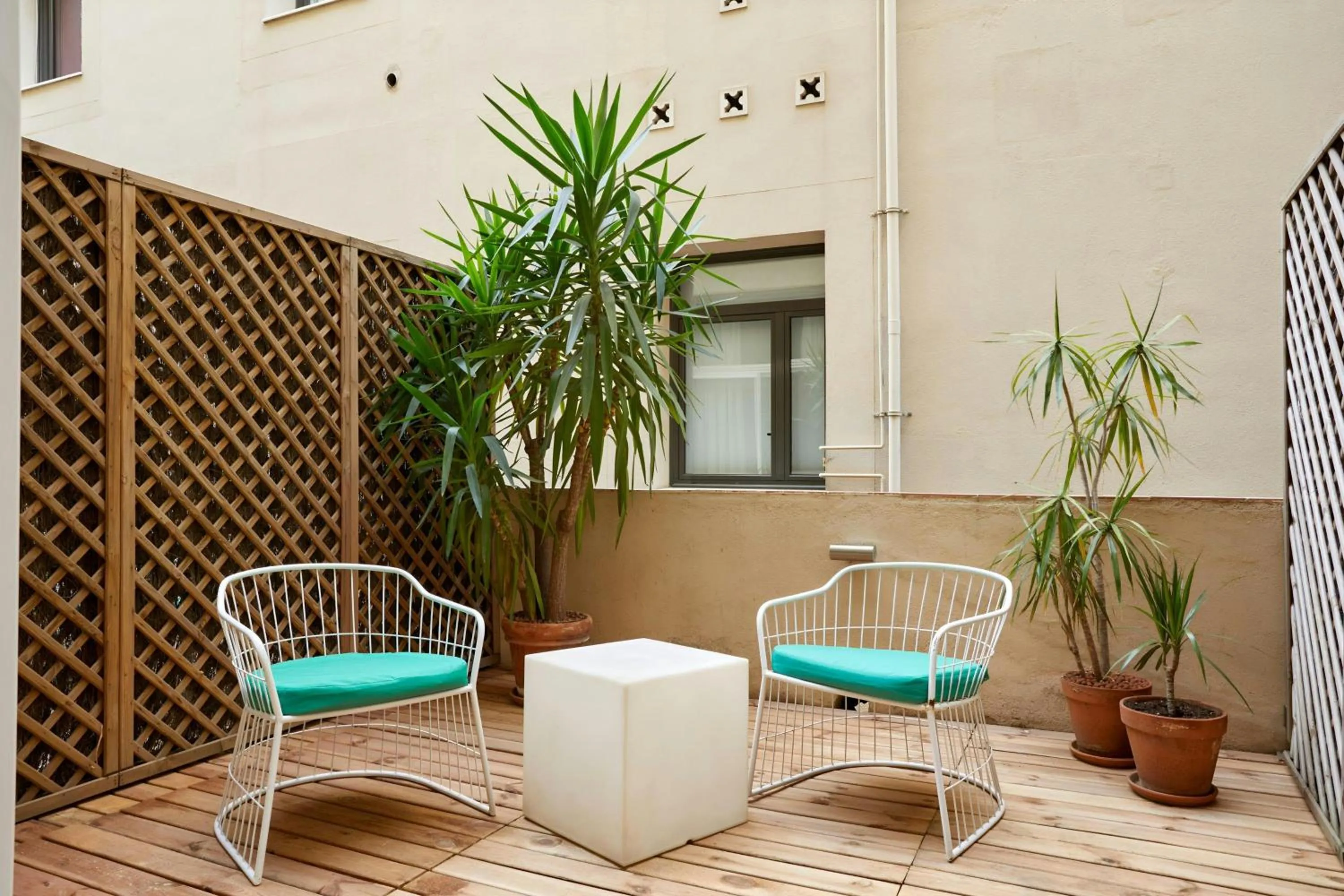 Photo of the whole room in Hotel Vasanta