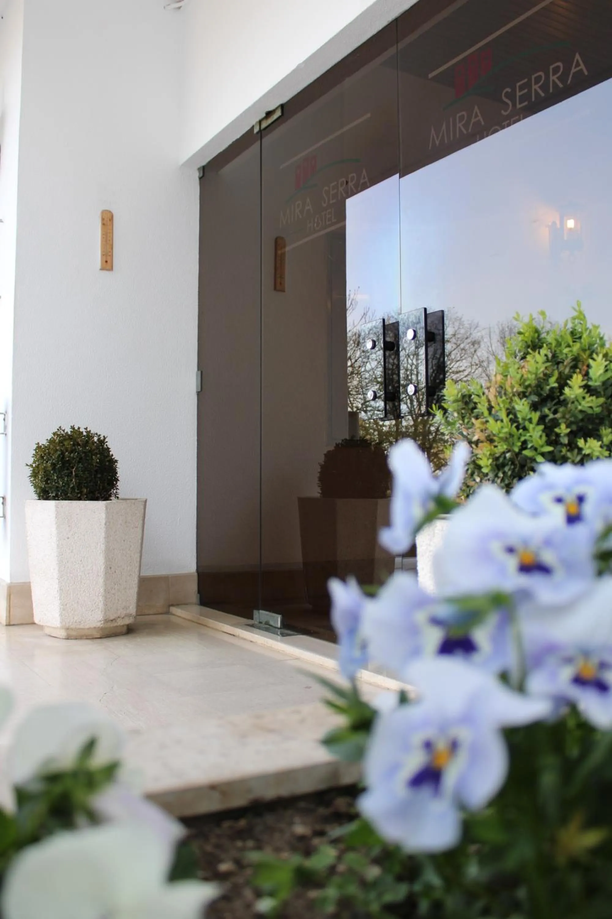 Lavanda Hotel Mira Serra