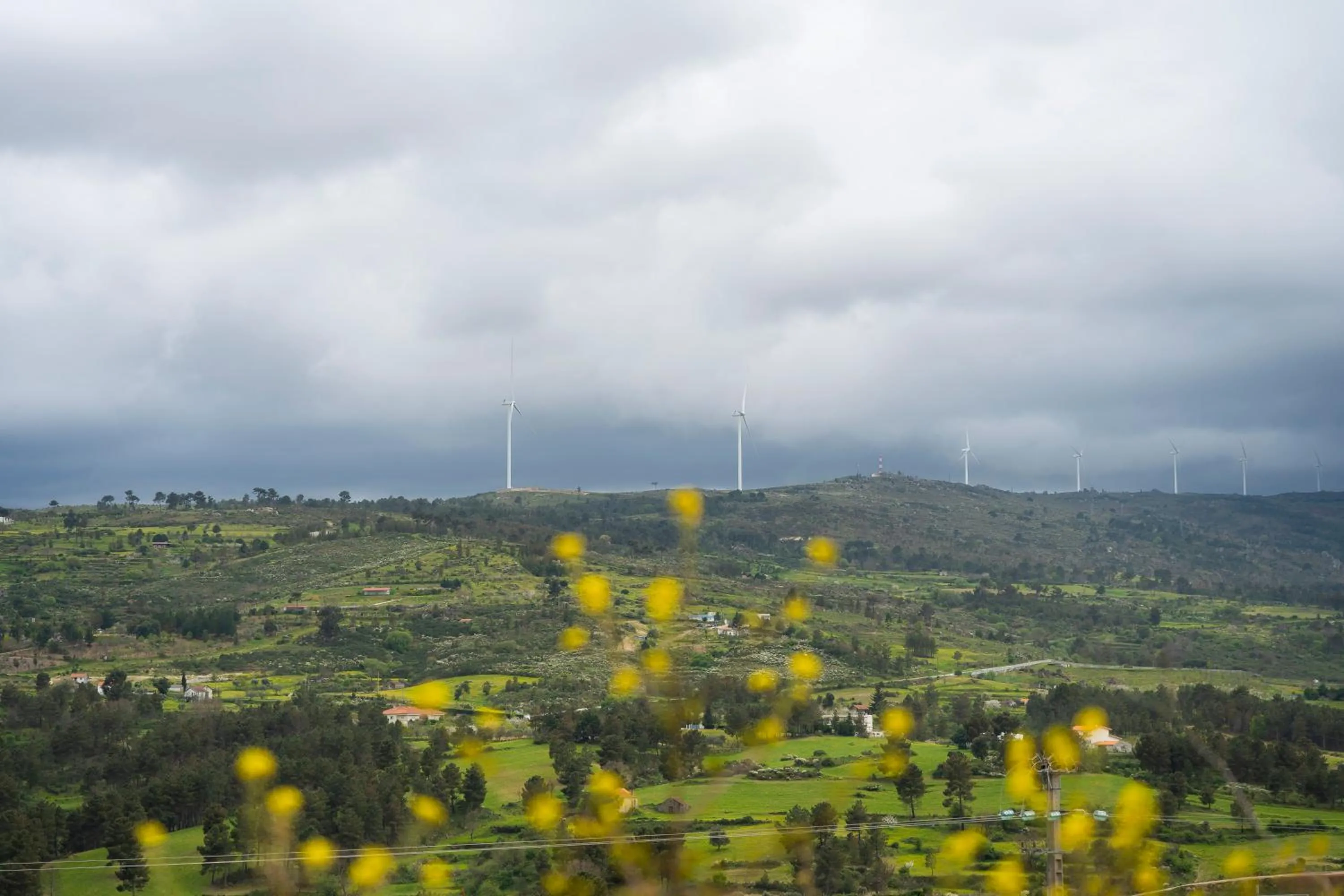 Natural landscape in Lavanda Hotel Mira Serra