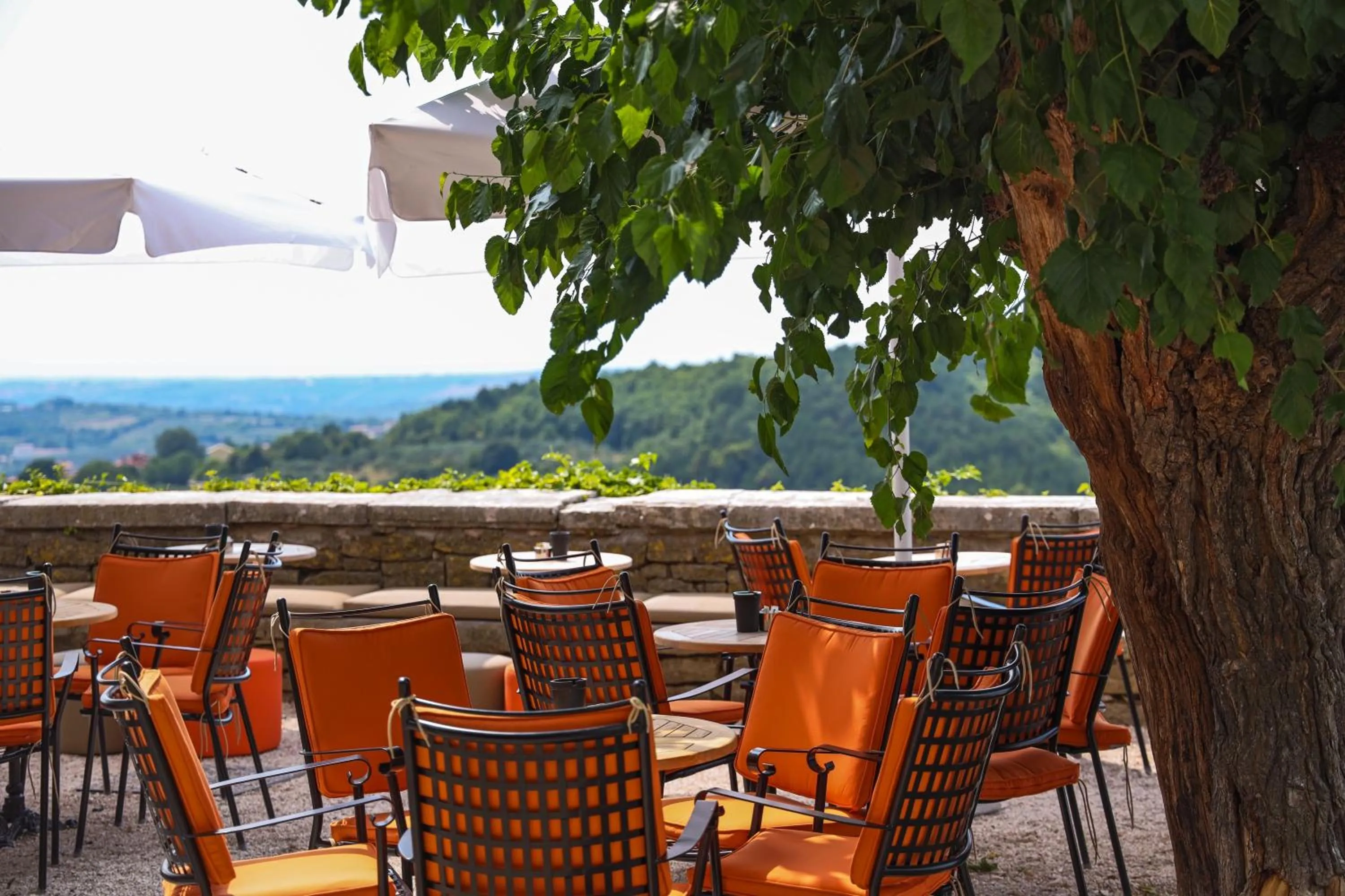 Restaurant/places to eat in B&B Artegnana 1798