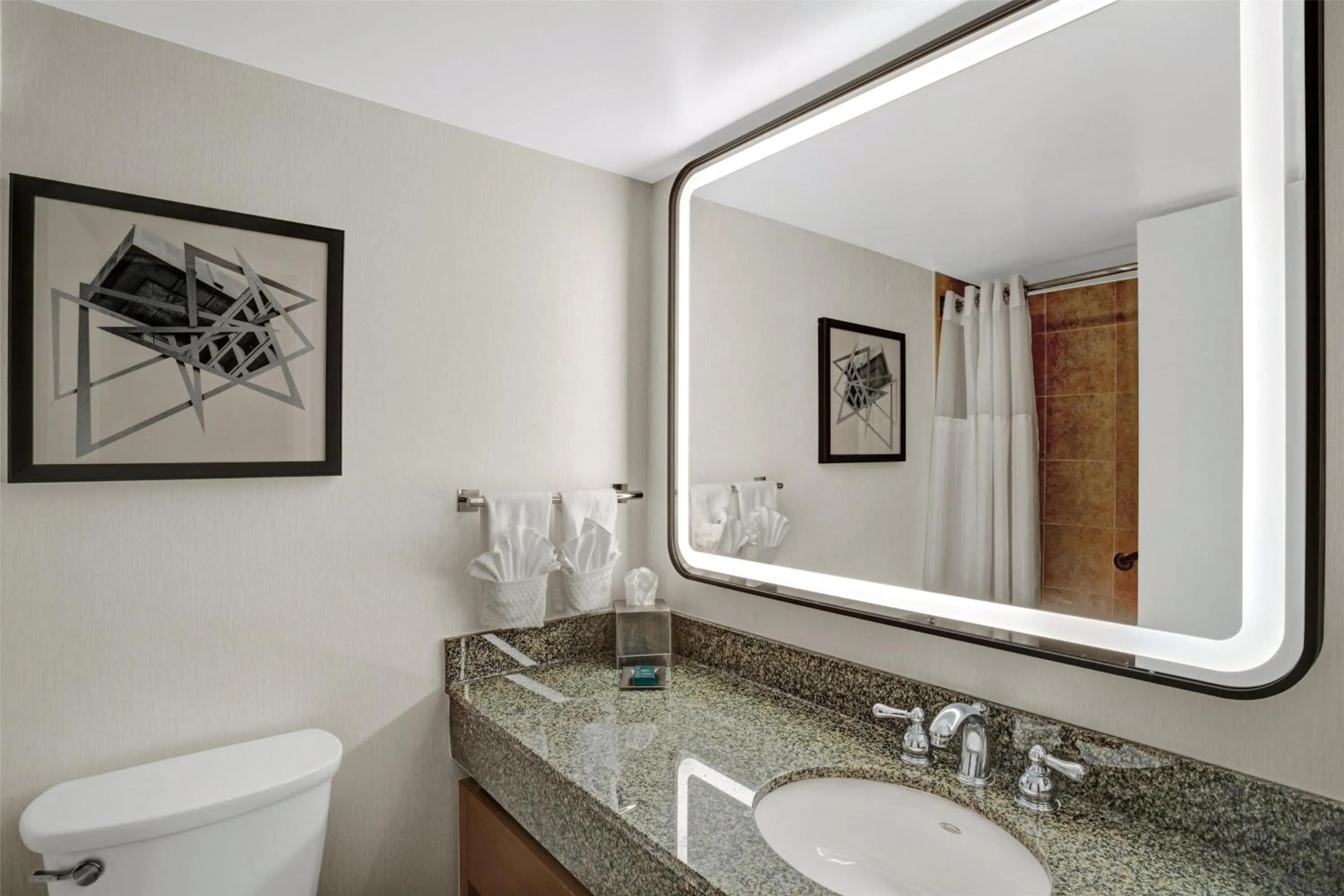 Bathroom in Hilton Arlington National Landing