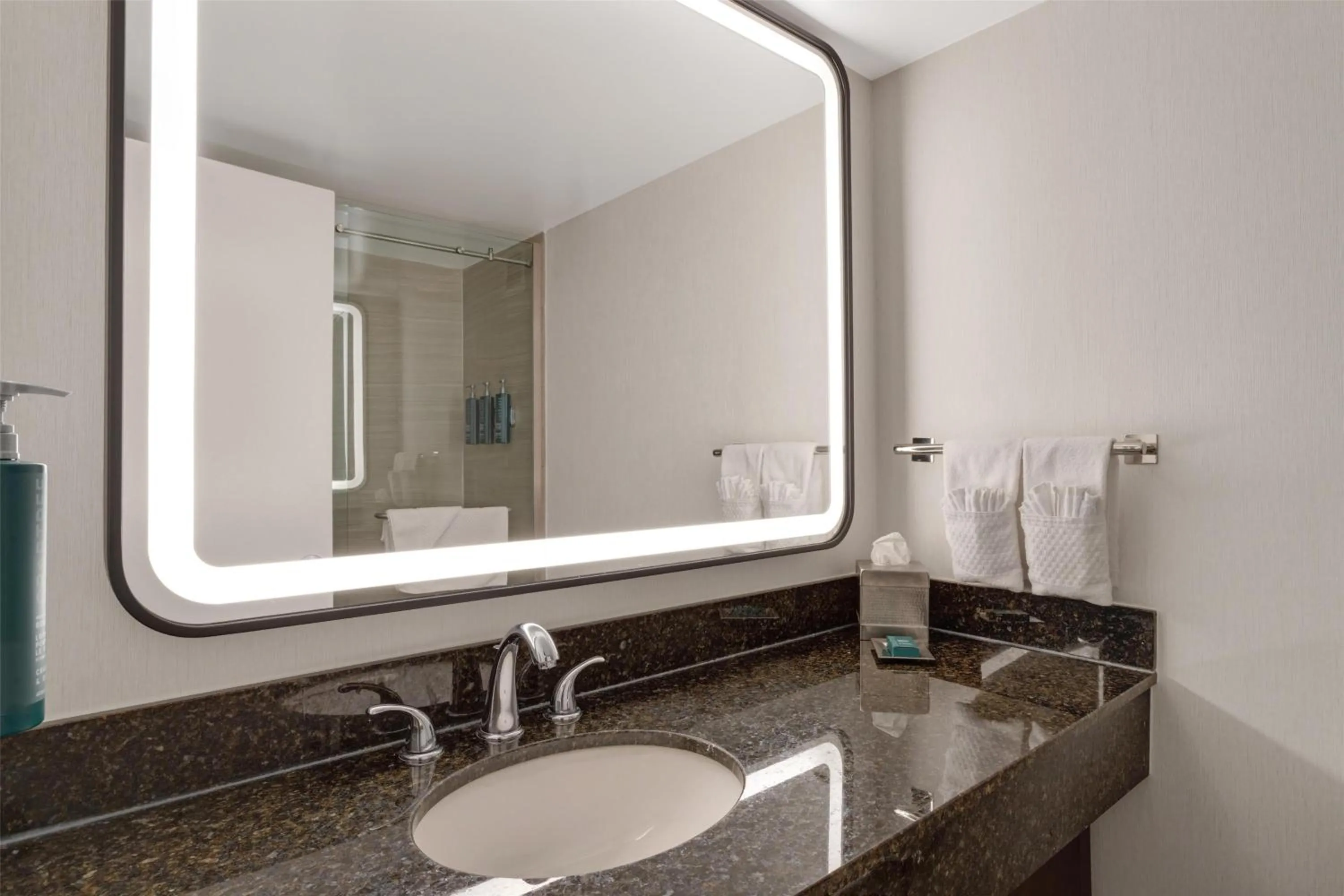 Bathroom in Hilton Arlington National Landing