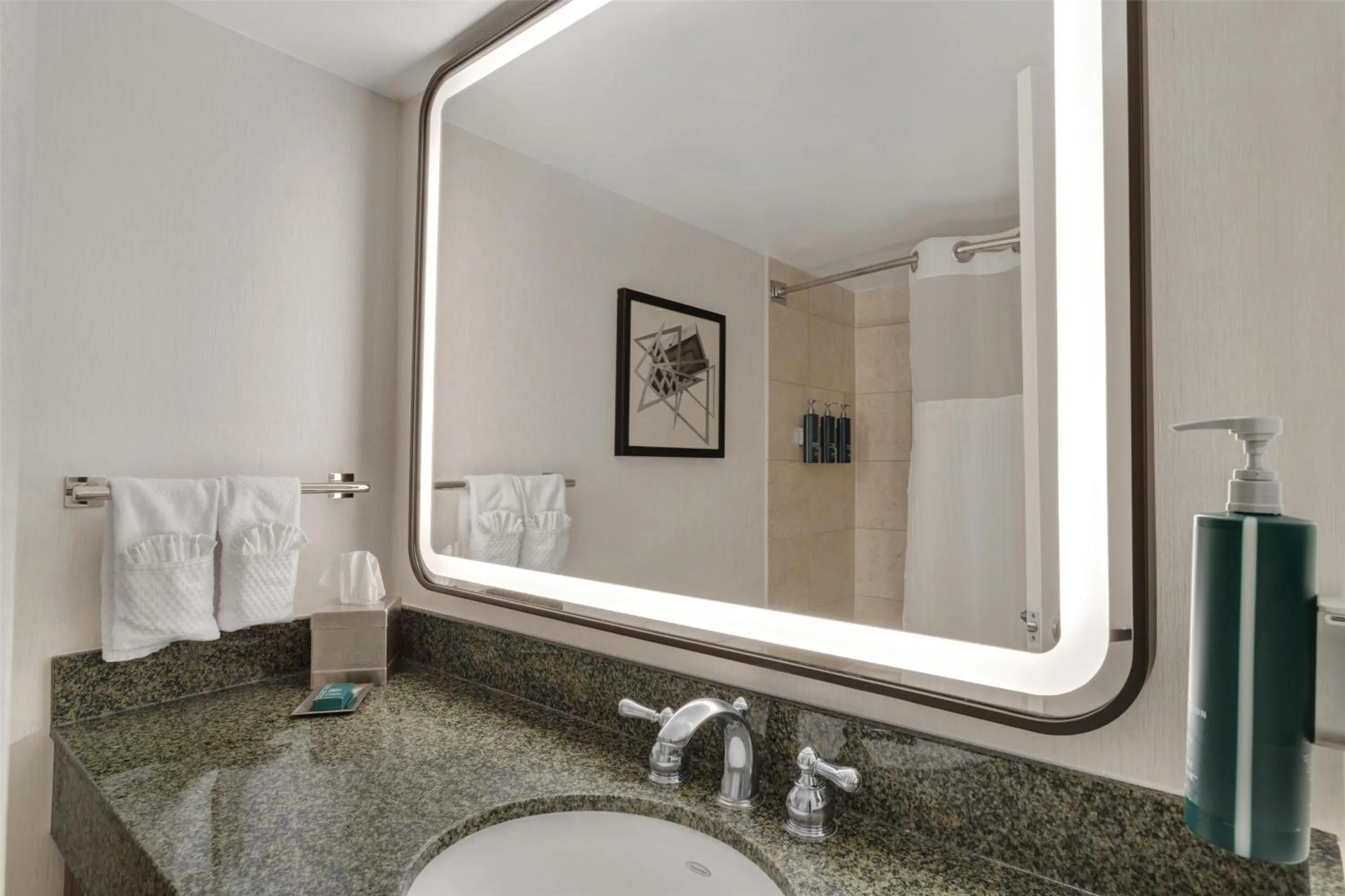 Bathroom in Hilton Arlington National Landing