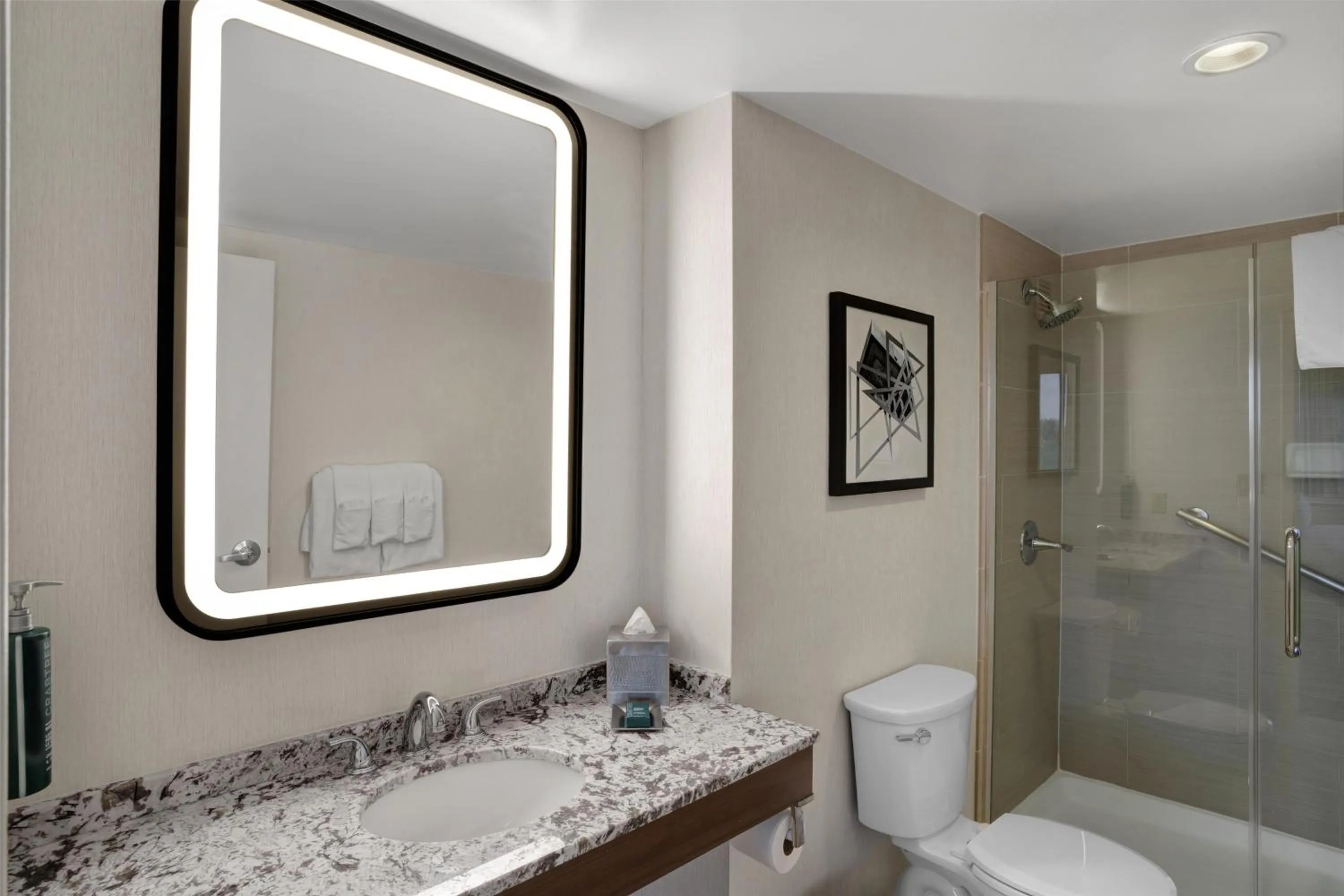 Bathroom in Hilton Arlington National Landing