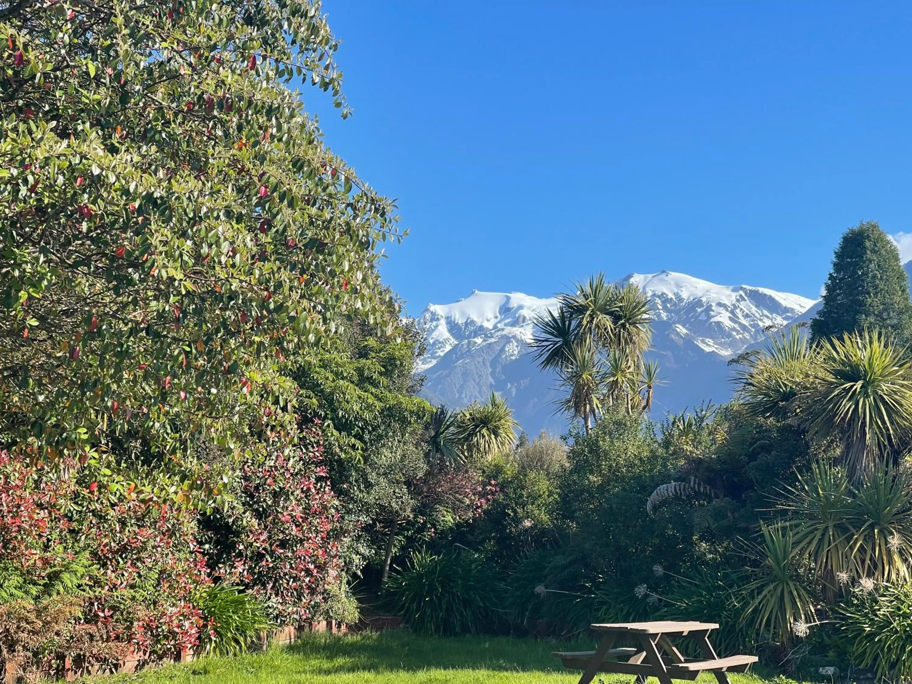 Natural landscape in Franz Josef TOP 10 Holiday Park