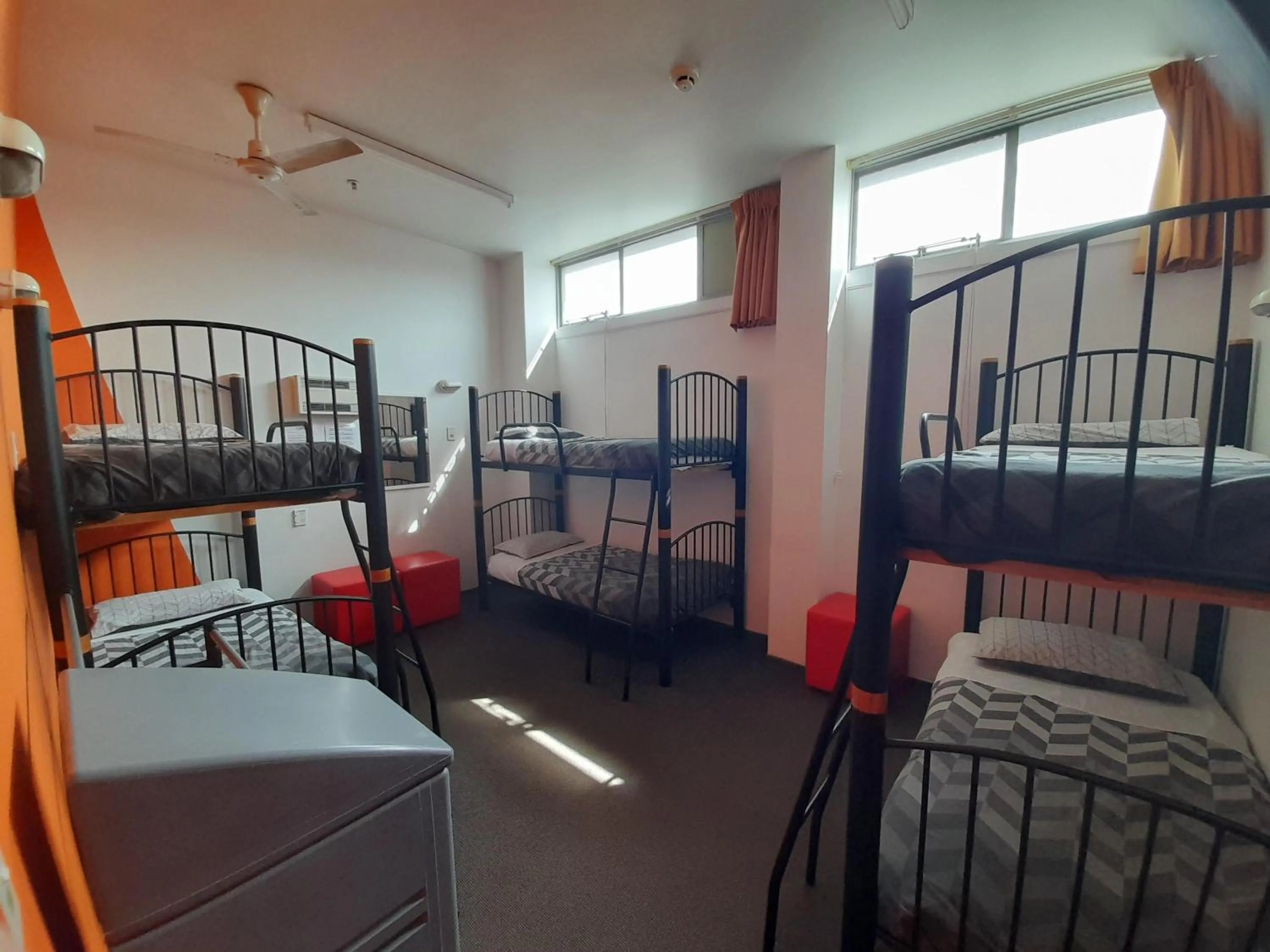 Photo of the whole room, Bed in YHA Nelson