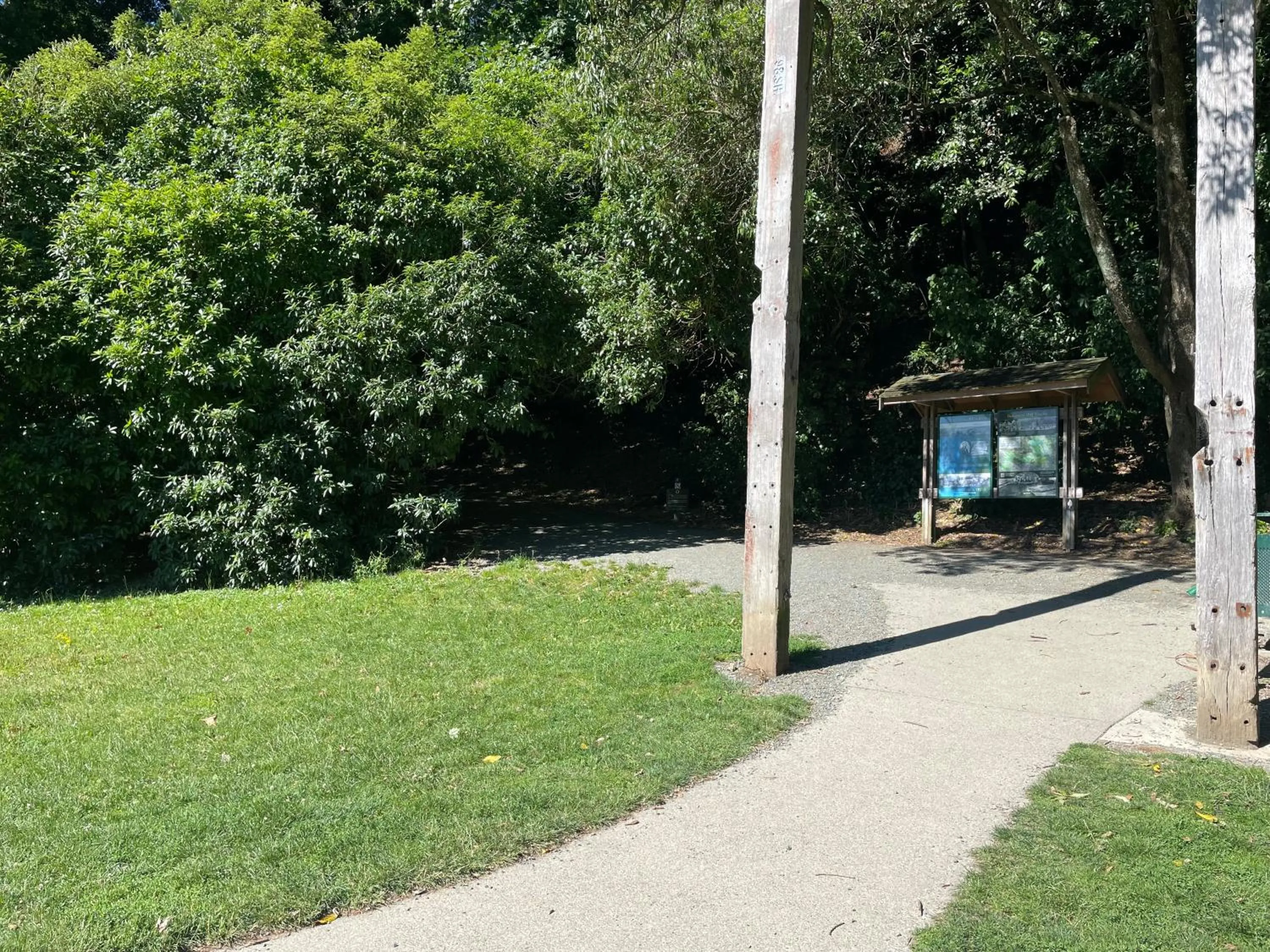Natural landscape in YHA Nelson