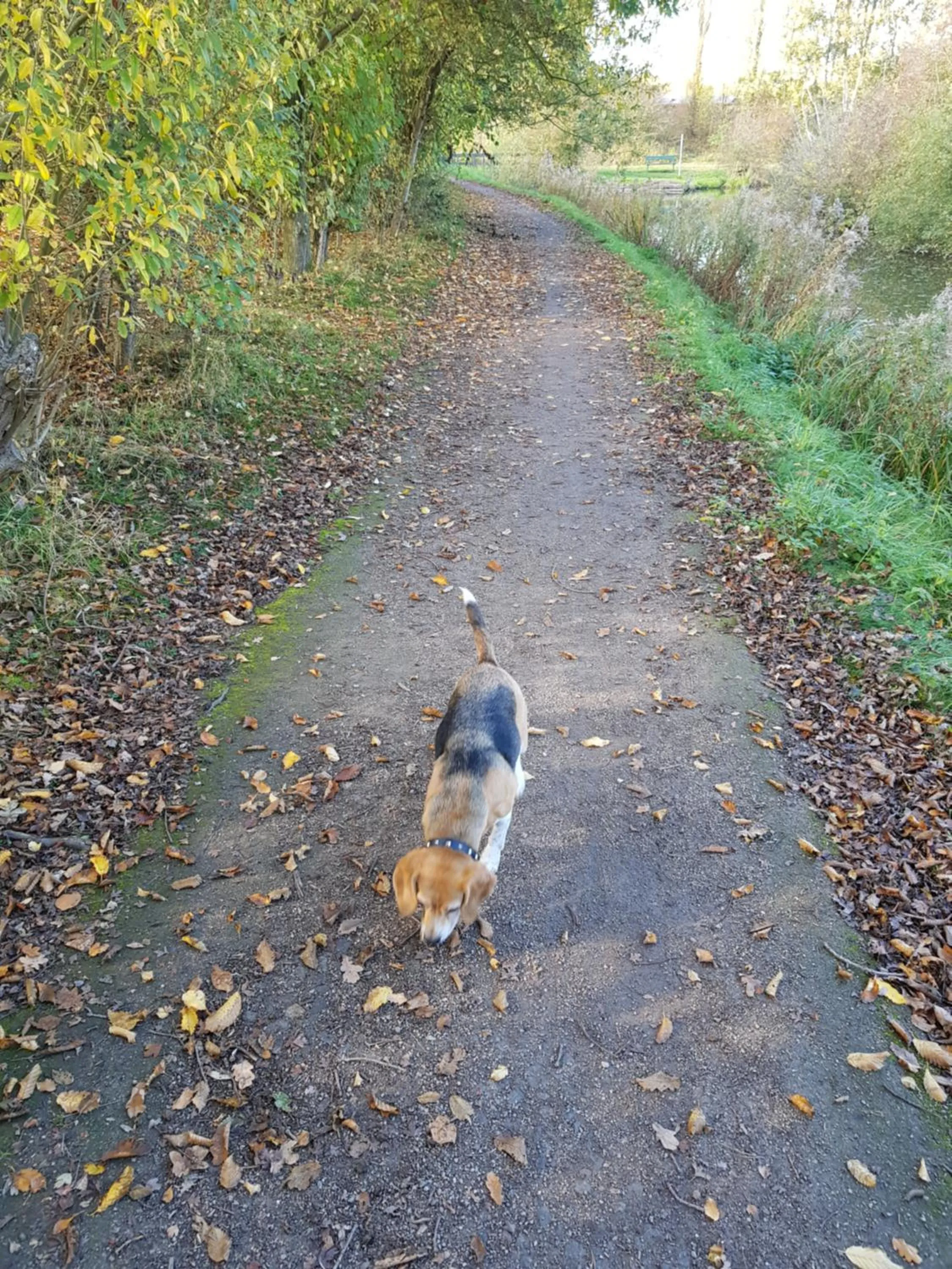 Natural landscape in Chatterley House