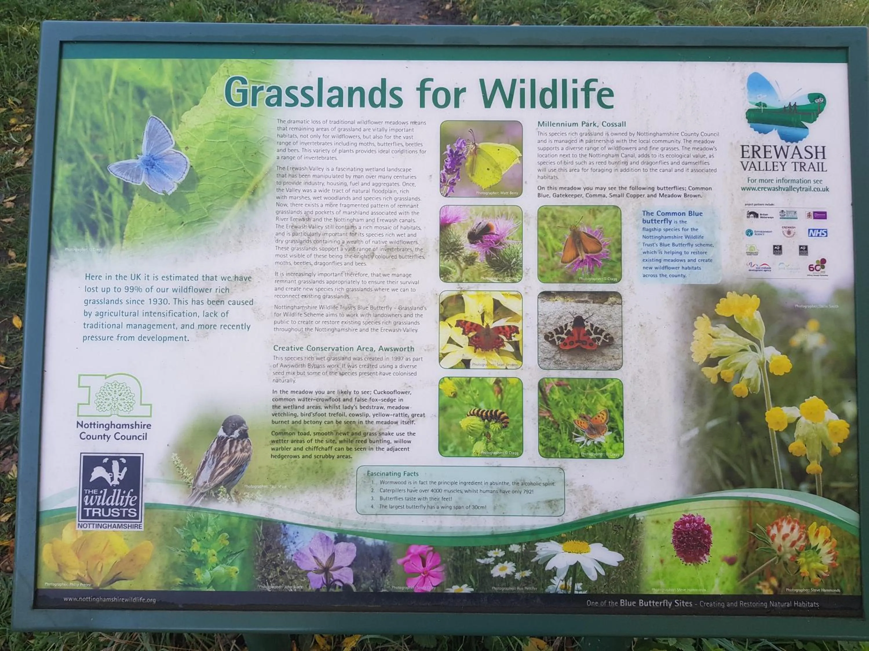 Nearby landmark in Chatterley House