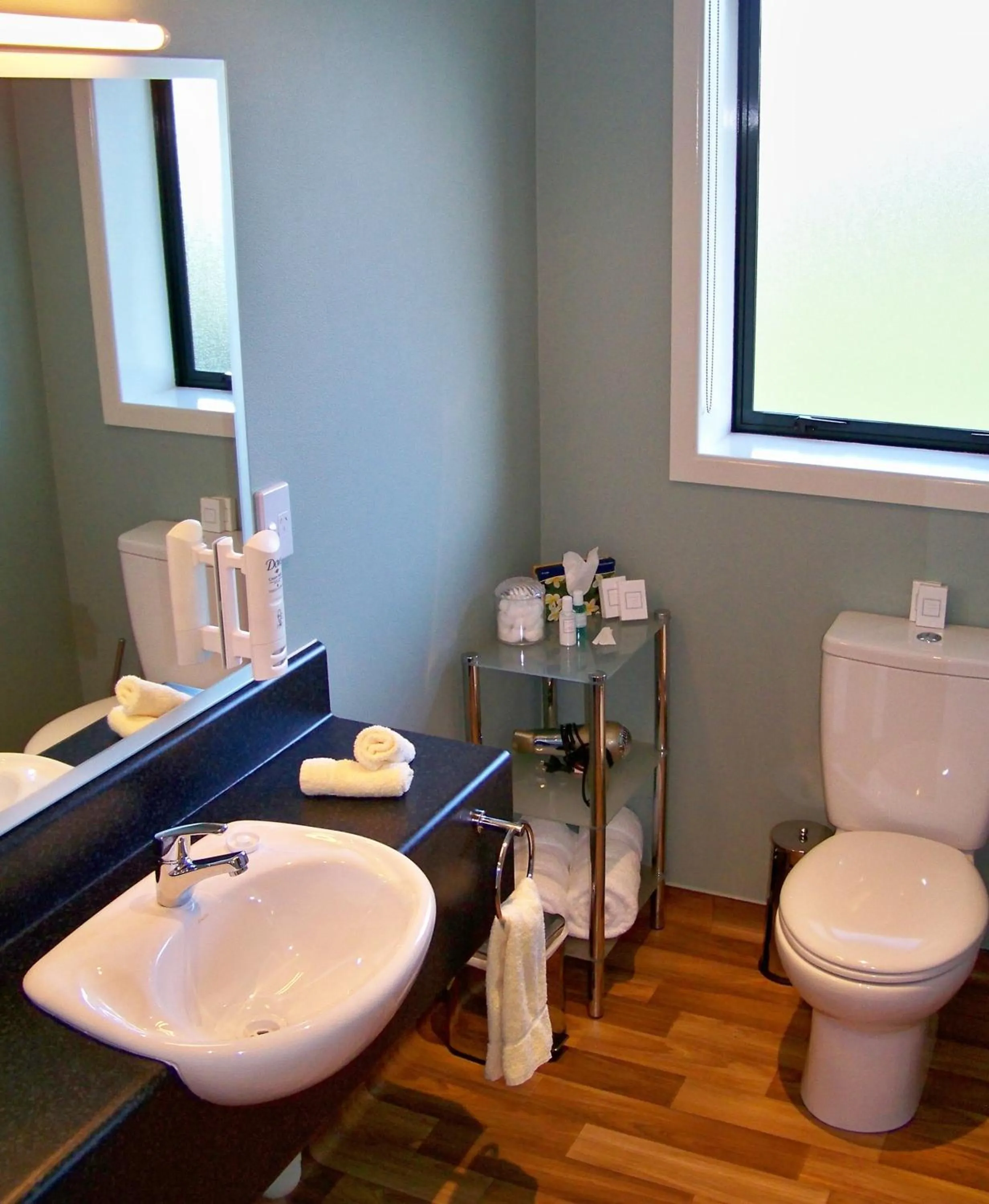 Toilet in Lake Roxburgh Lodge