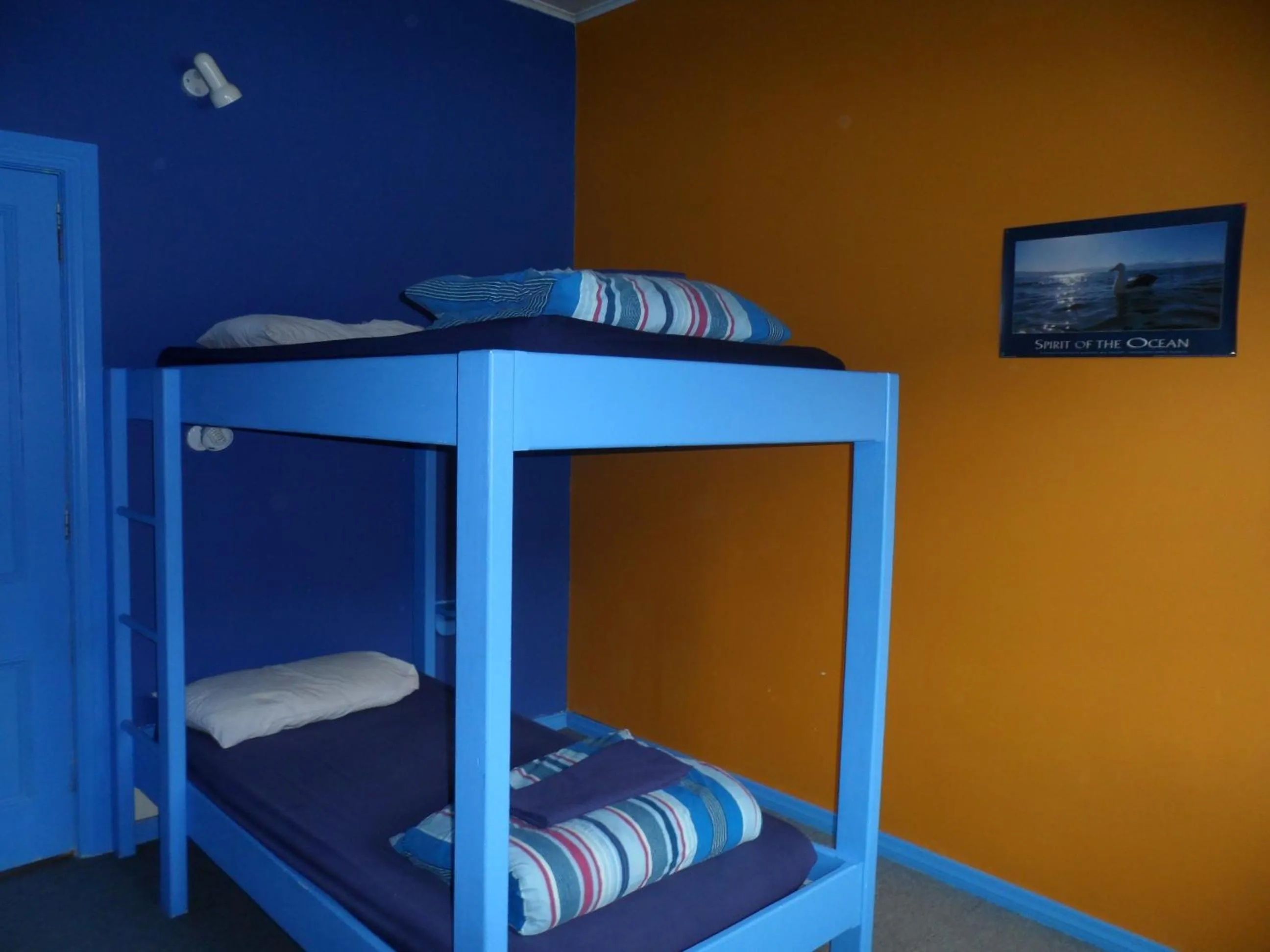 Bed in Sequoia Lodge Backpackers