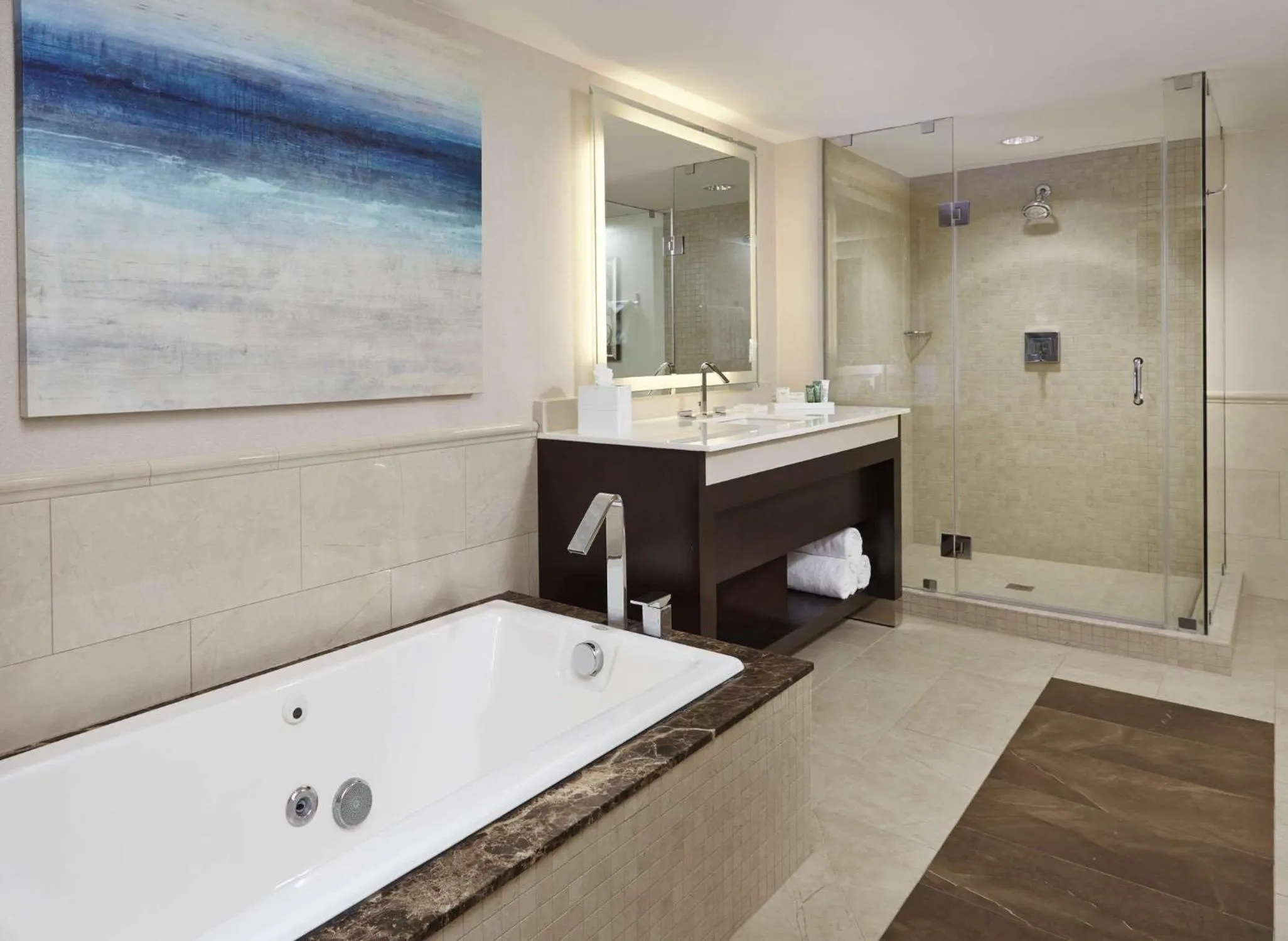 Bathroom in Hilton Alexandria Old Town