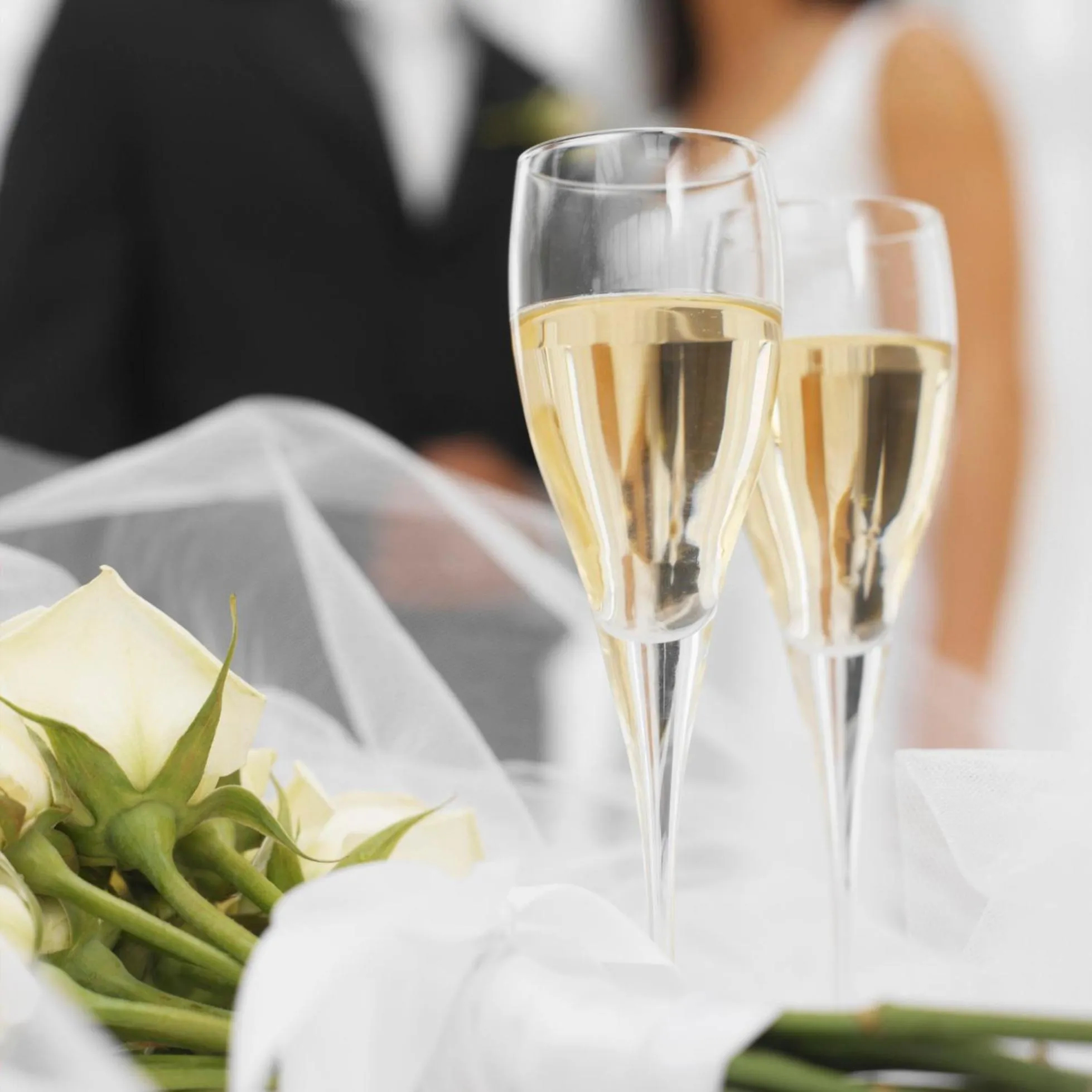 Banquet/Function facilities in Grand Fiesta Americana Guadalajara Country Club