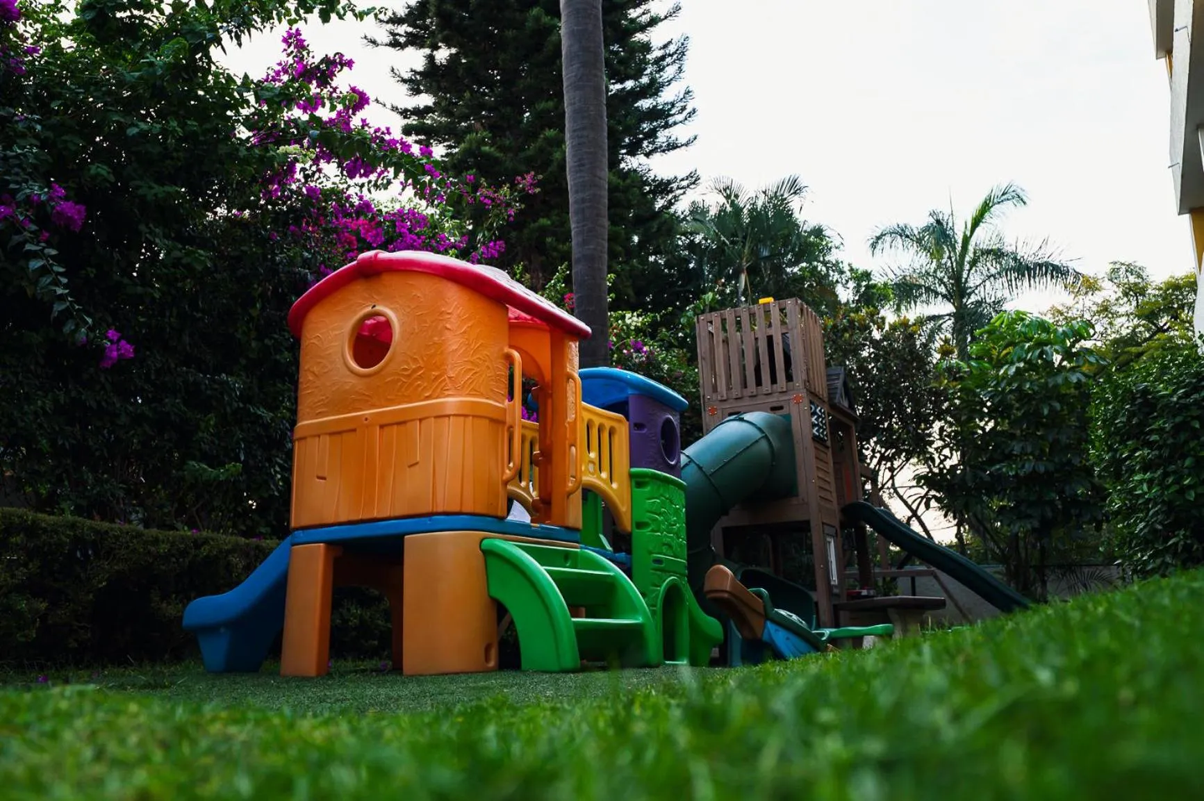 Patio in Casa Francisco