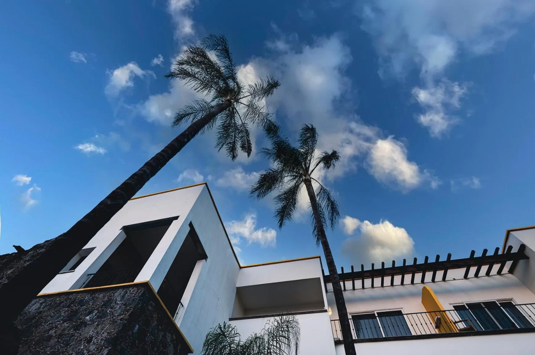 Natural landscape in Casa Francisco