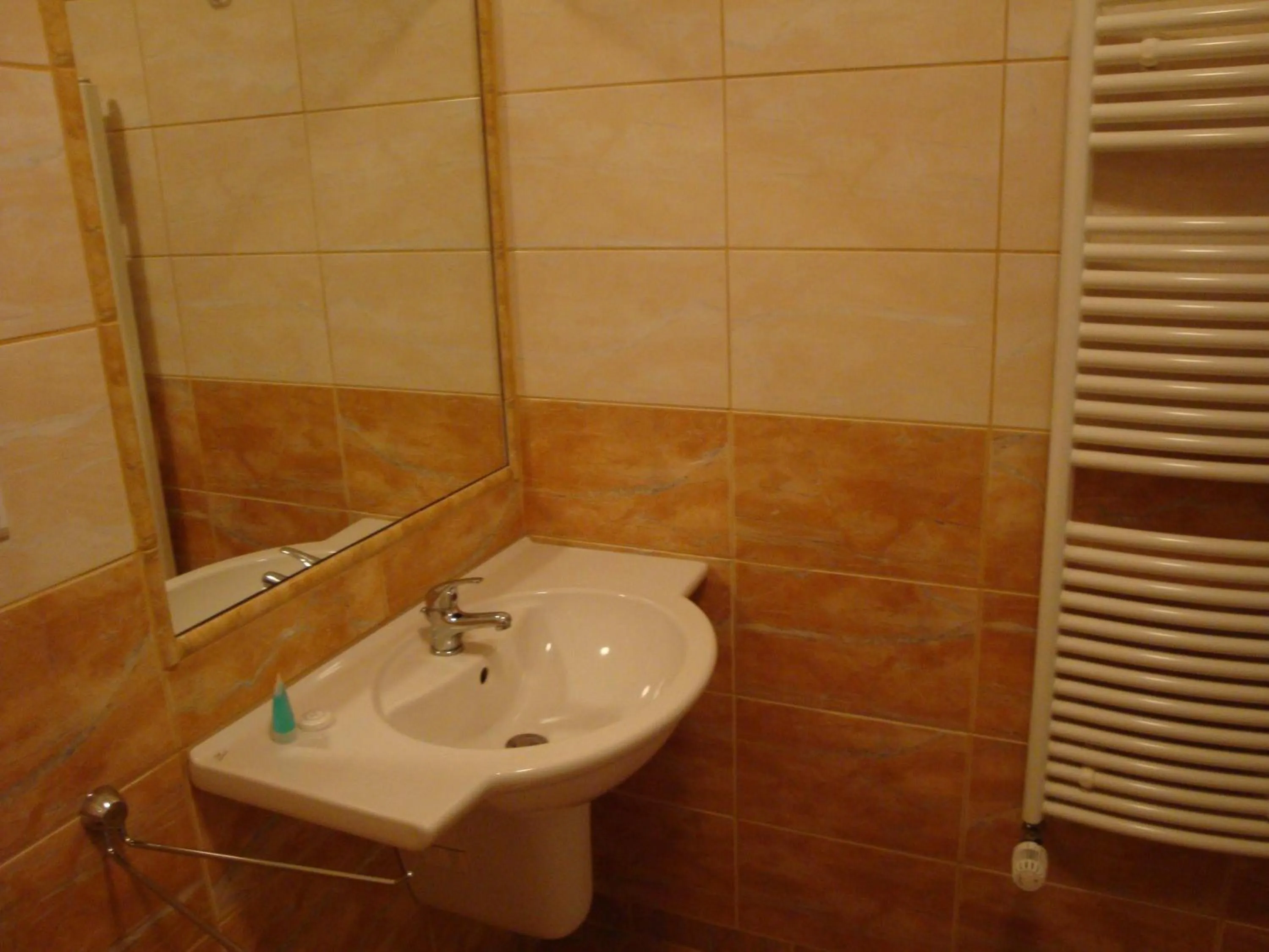 Bathroom in Lázně Evženie