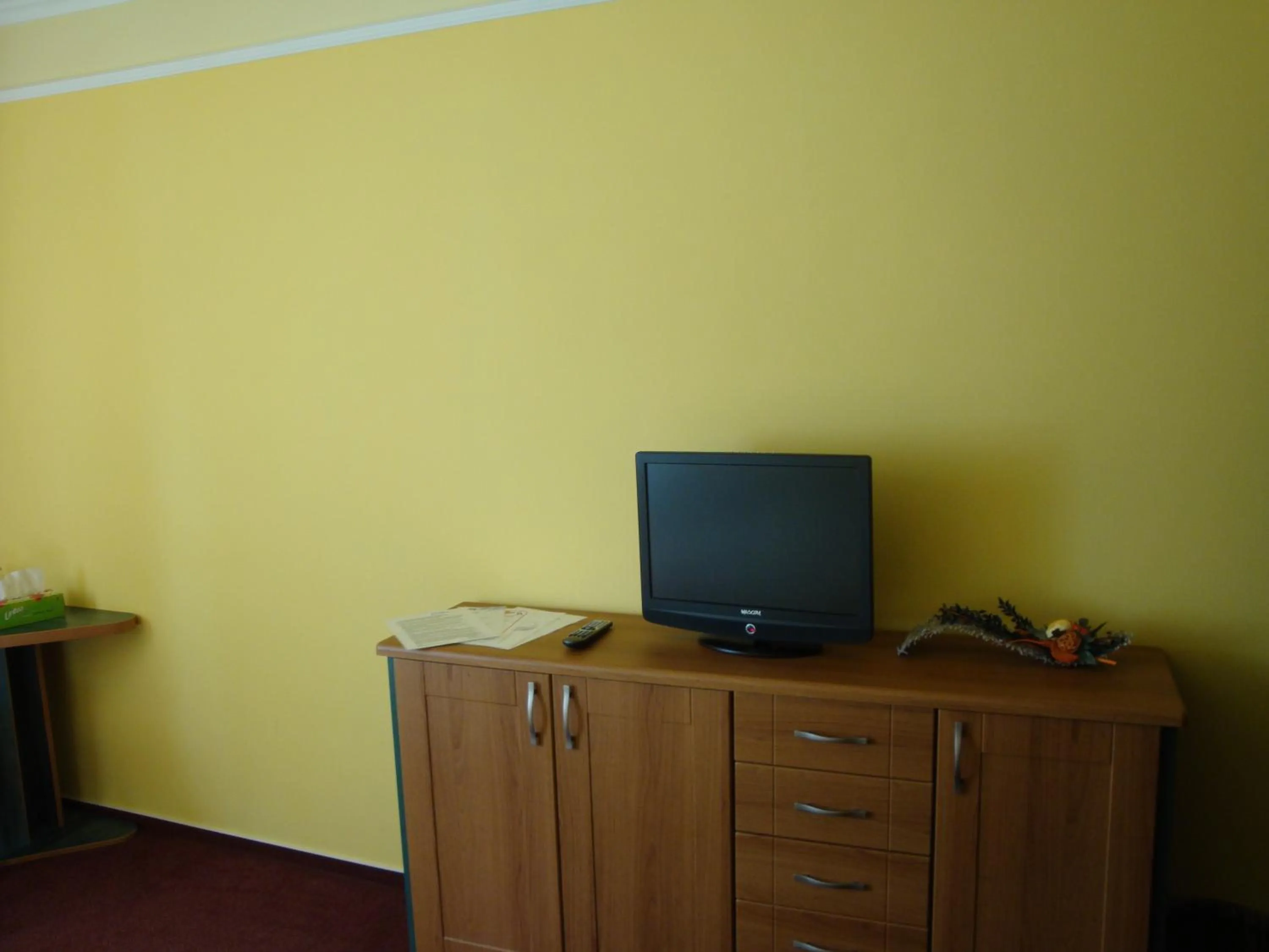 TV and multimedia in Lázně Evženie