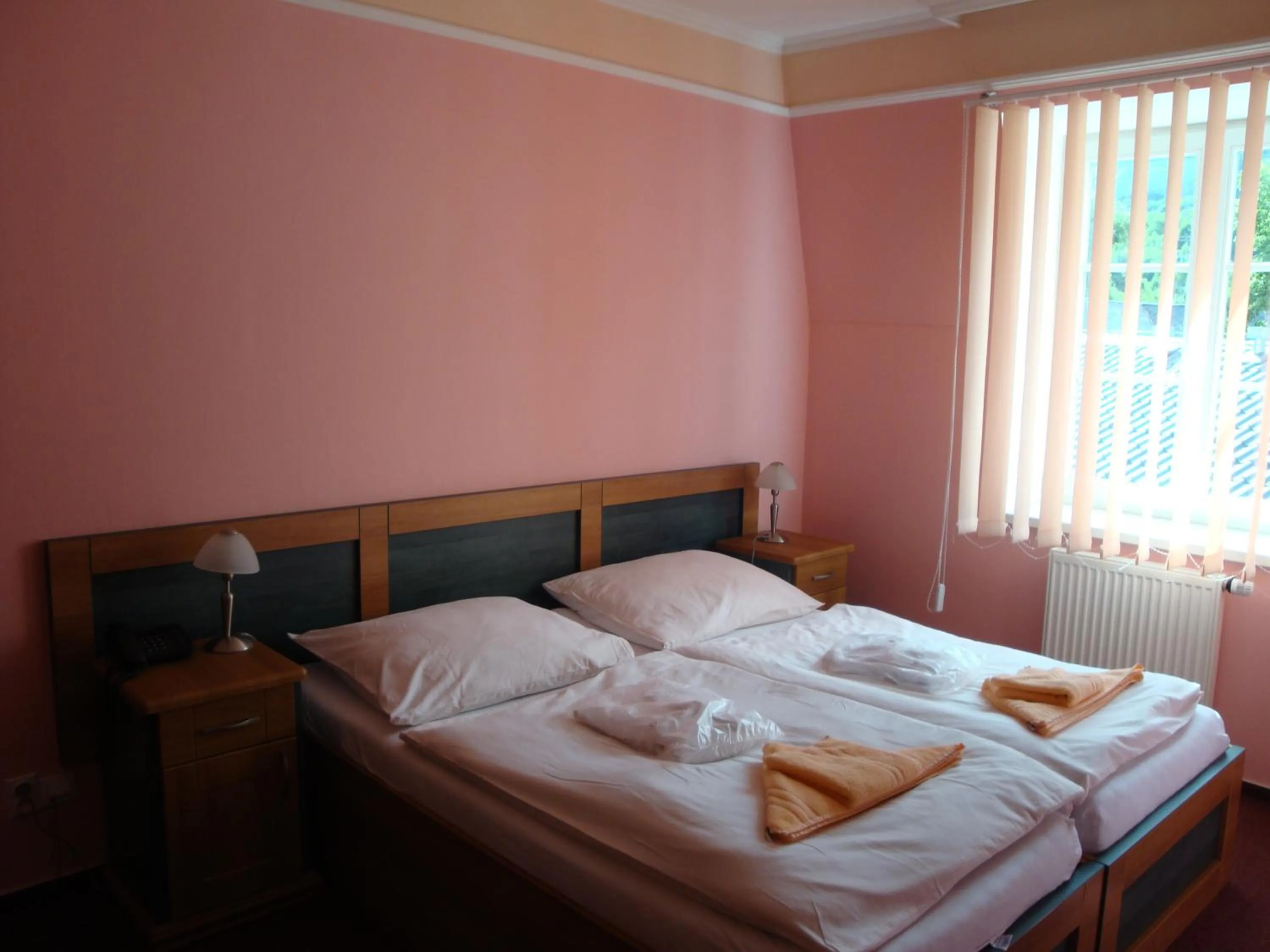 Bed in Lázně Evženie