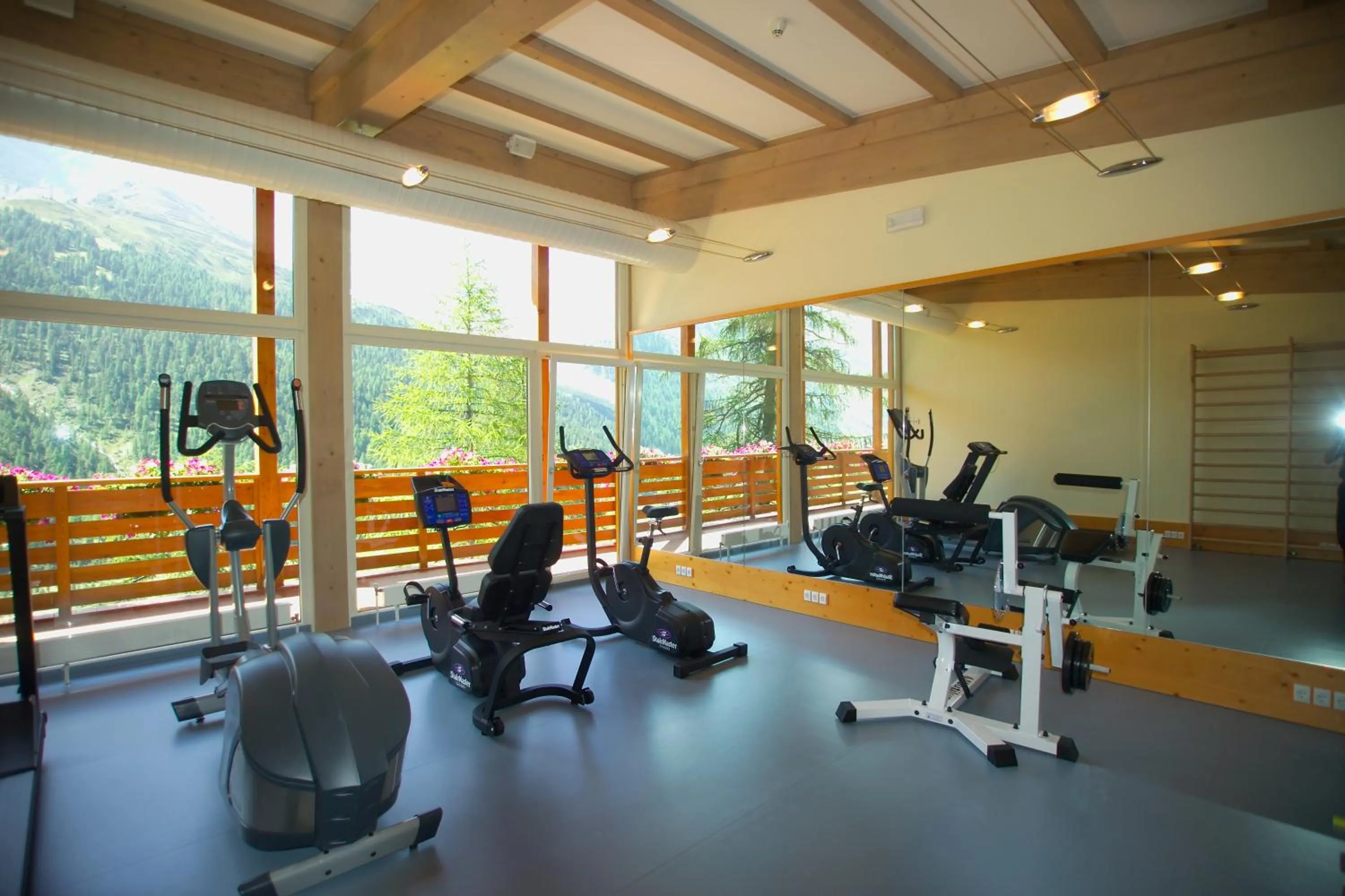 Fitness centre/facilities in Hotel Zebru