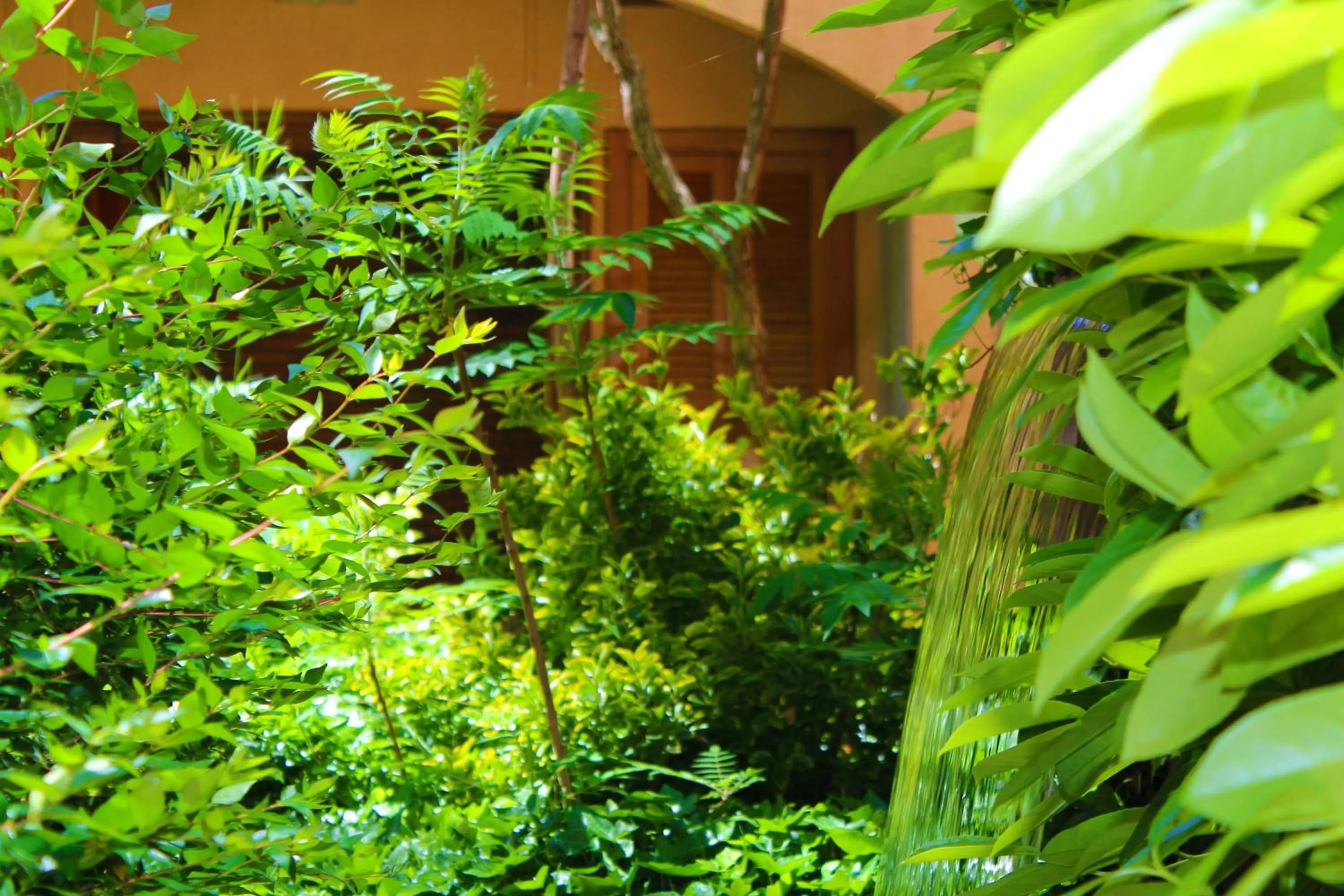 Other in Alambique - Hotel Resort & Spa