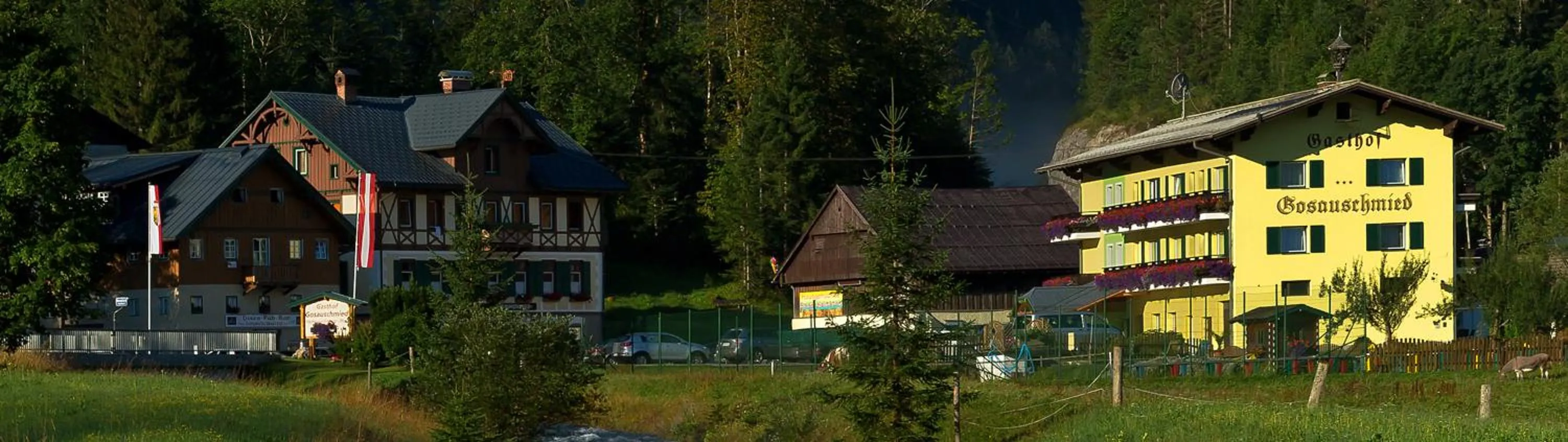 Property building in Gasthof Gosauschmied
