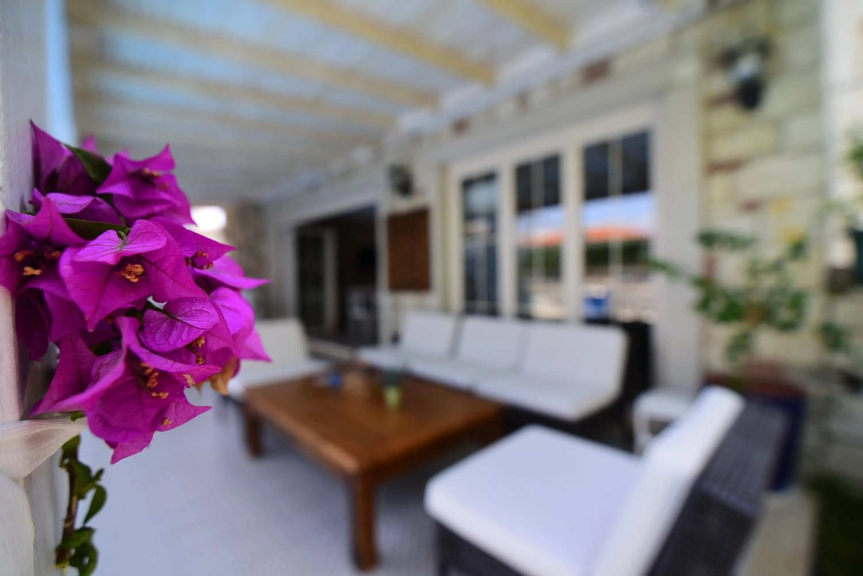 Decorative detail in My Adress Alaçatı Butik Otel