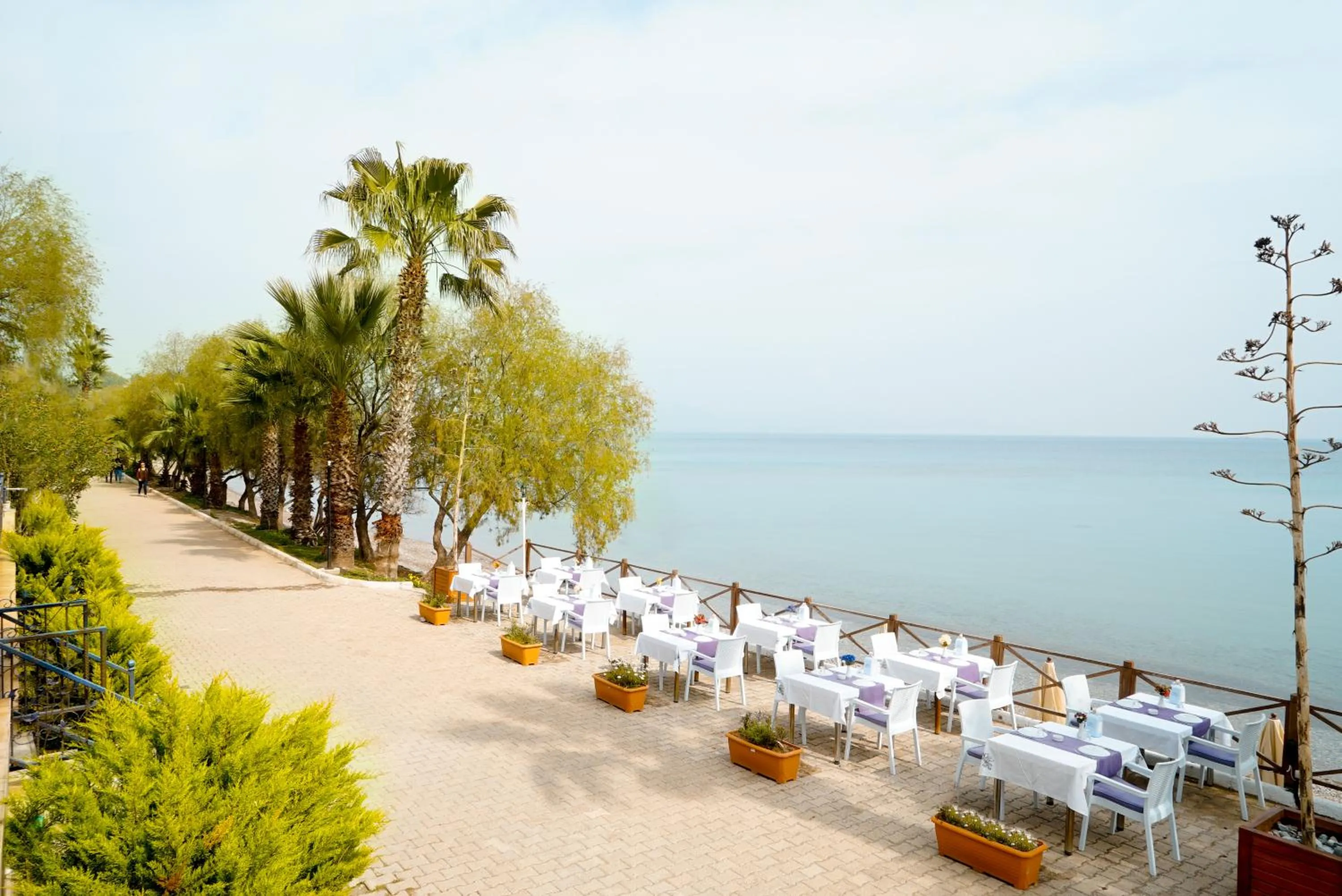 Restaurant/places to eat in Fuda Hotel