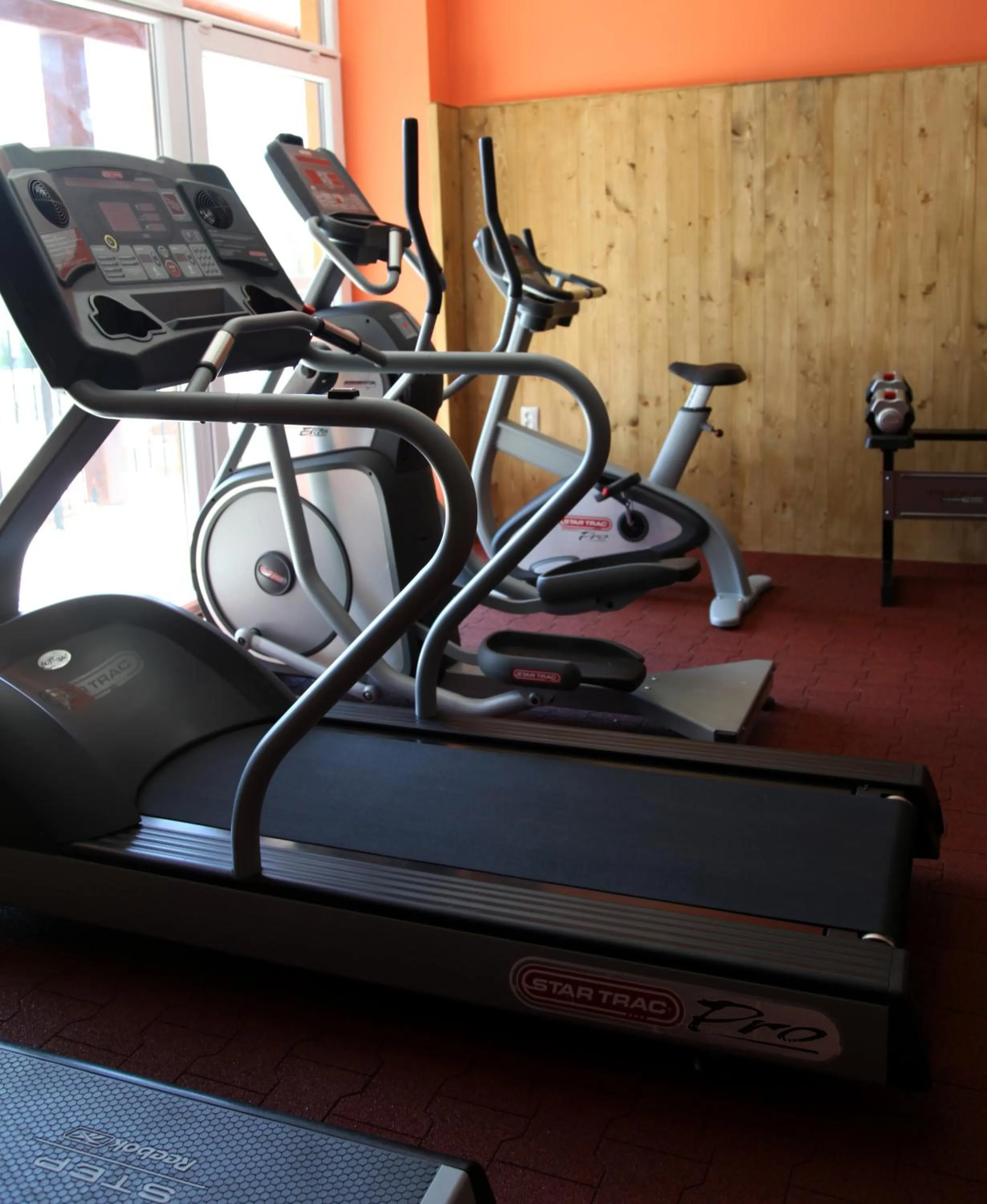 Fitness centre/facilities in Mlyn Penzion & Wellness