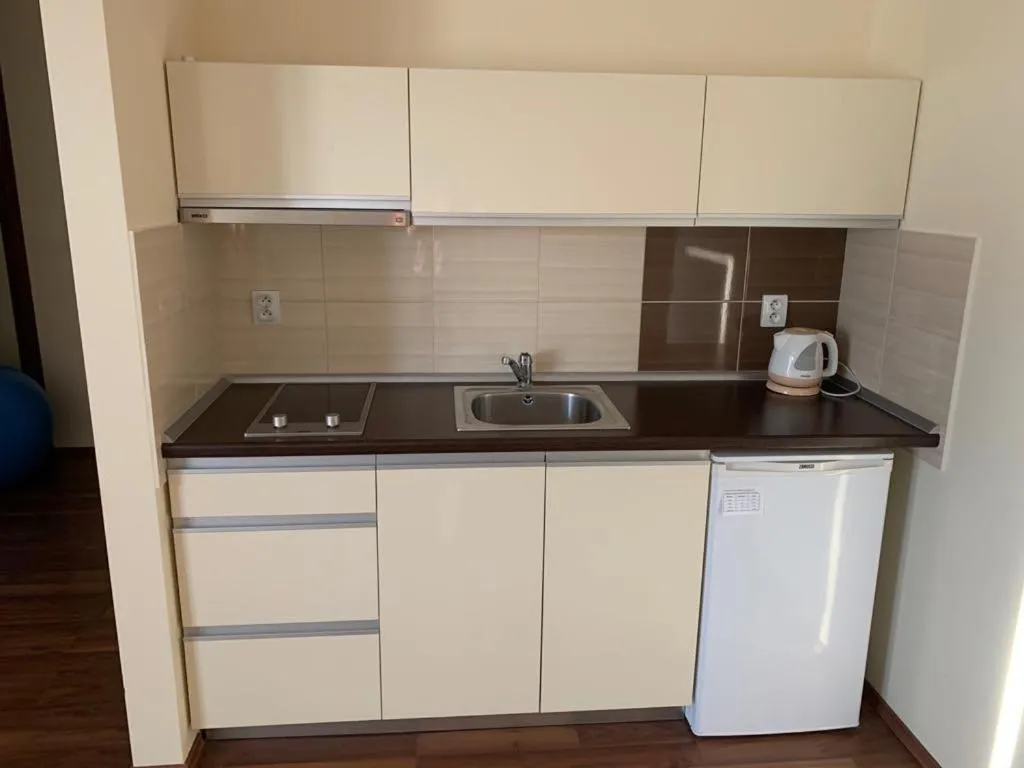 Kitchen or kitchenette in Mlyn Penzion & Wellness