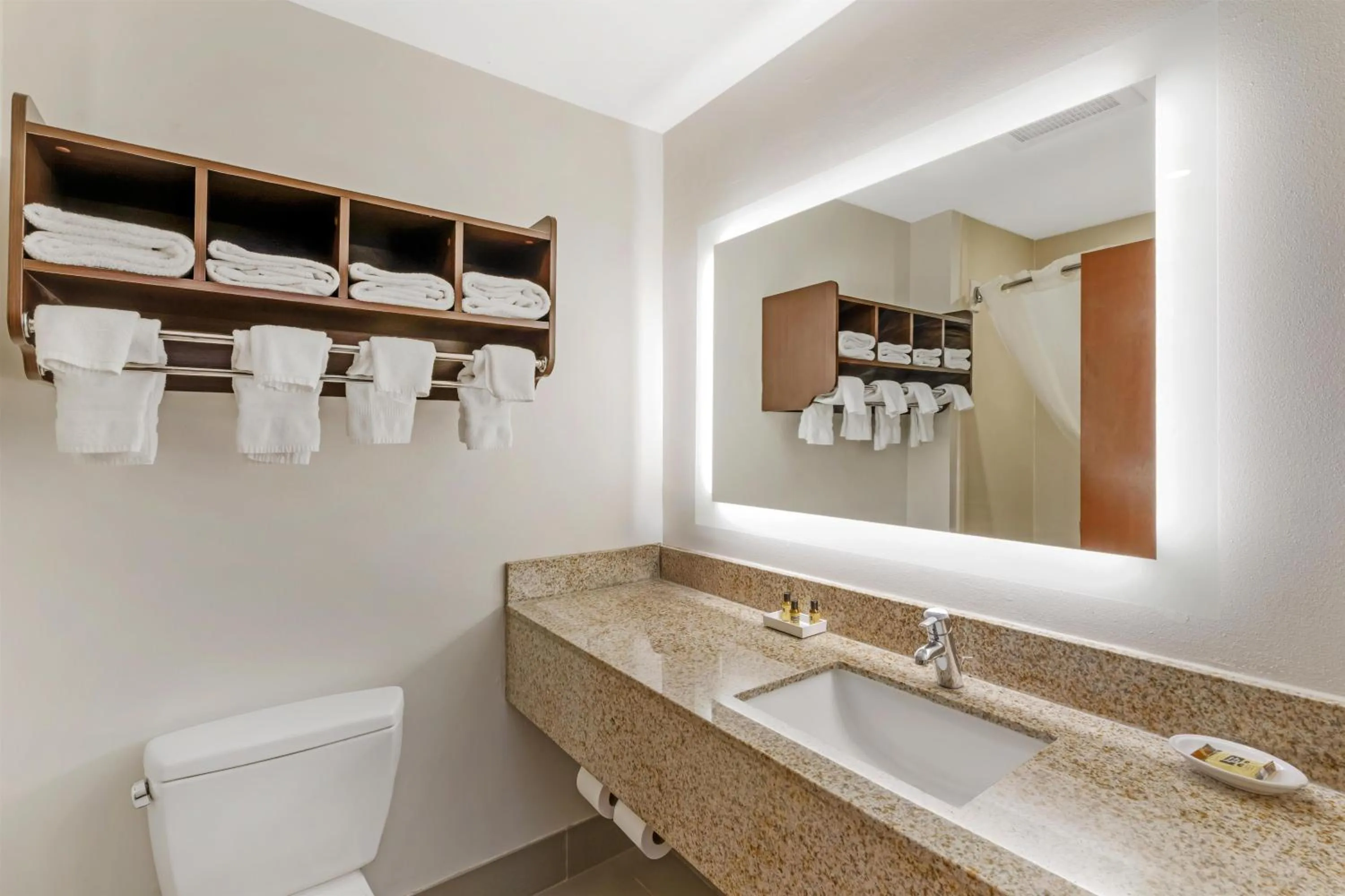 Bathroom in Best Western Plus McDonough Inn & Suites