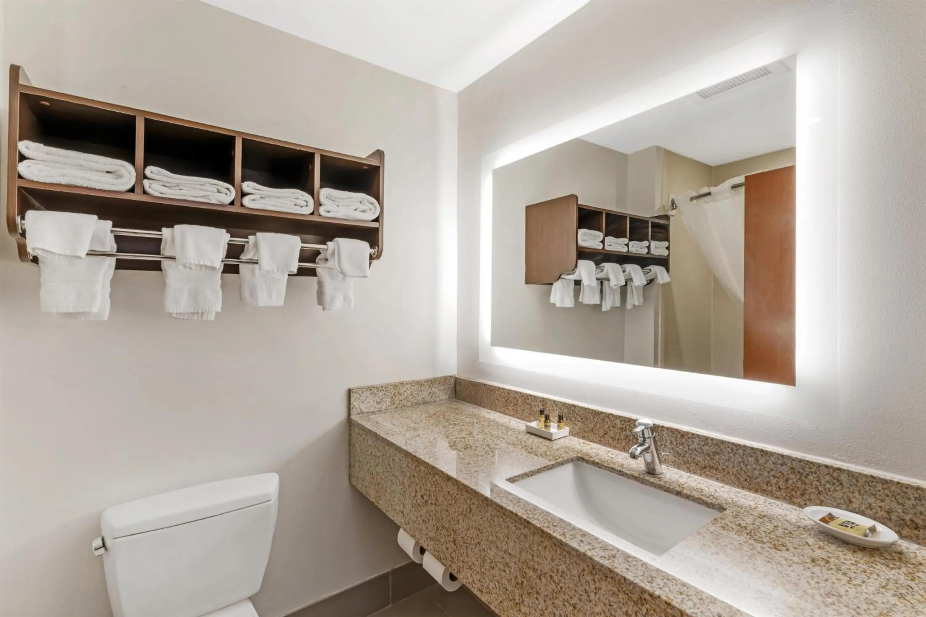 Bathroom in Best Western Plus McDonough Inn & Suites