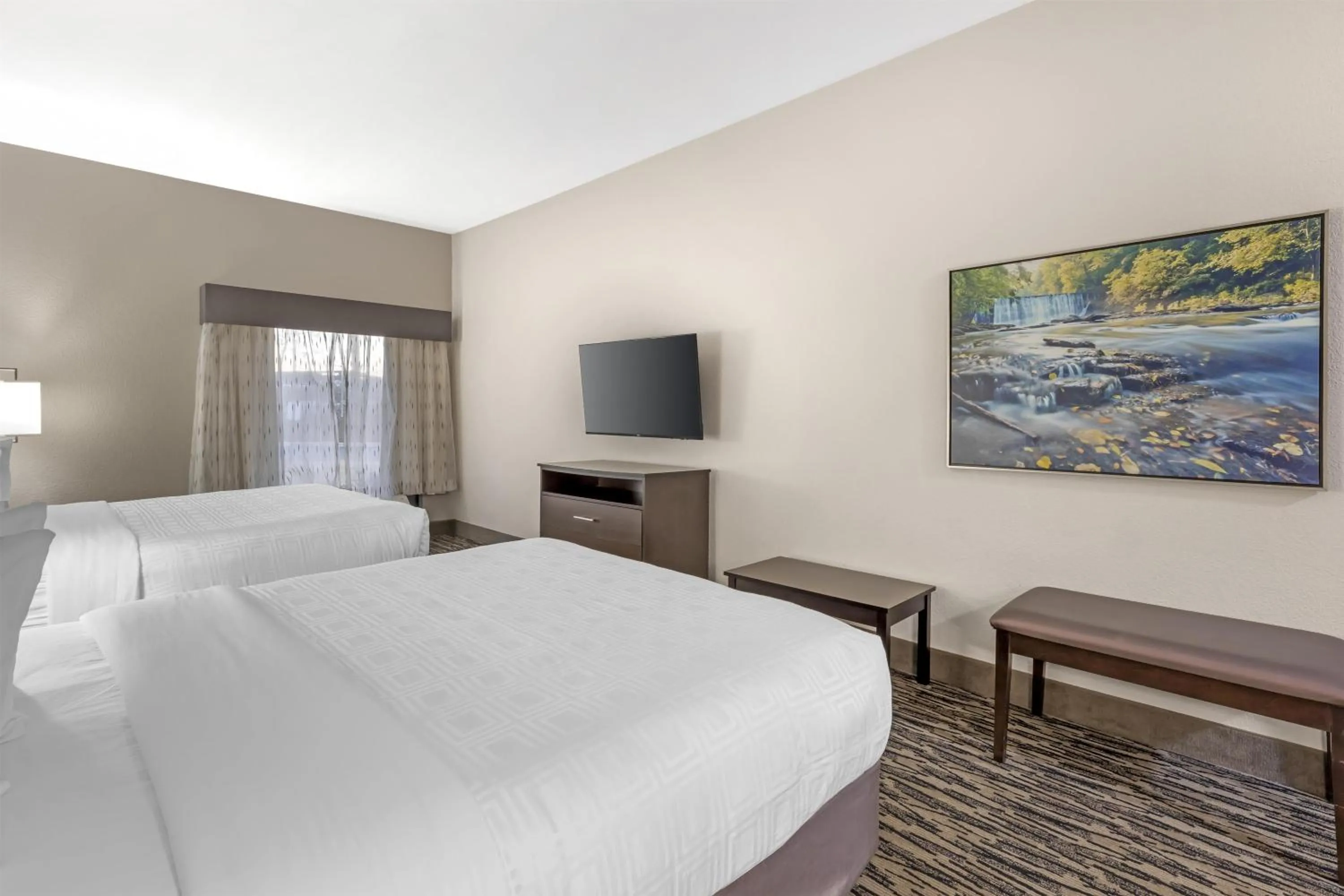 Bedroom, Bed in Best Western Plus McDonough Inn & Suites