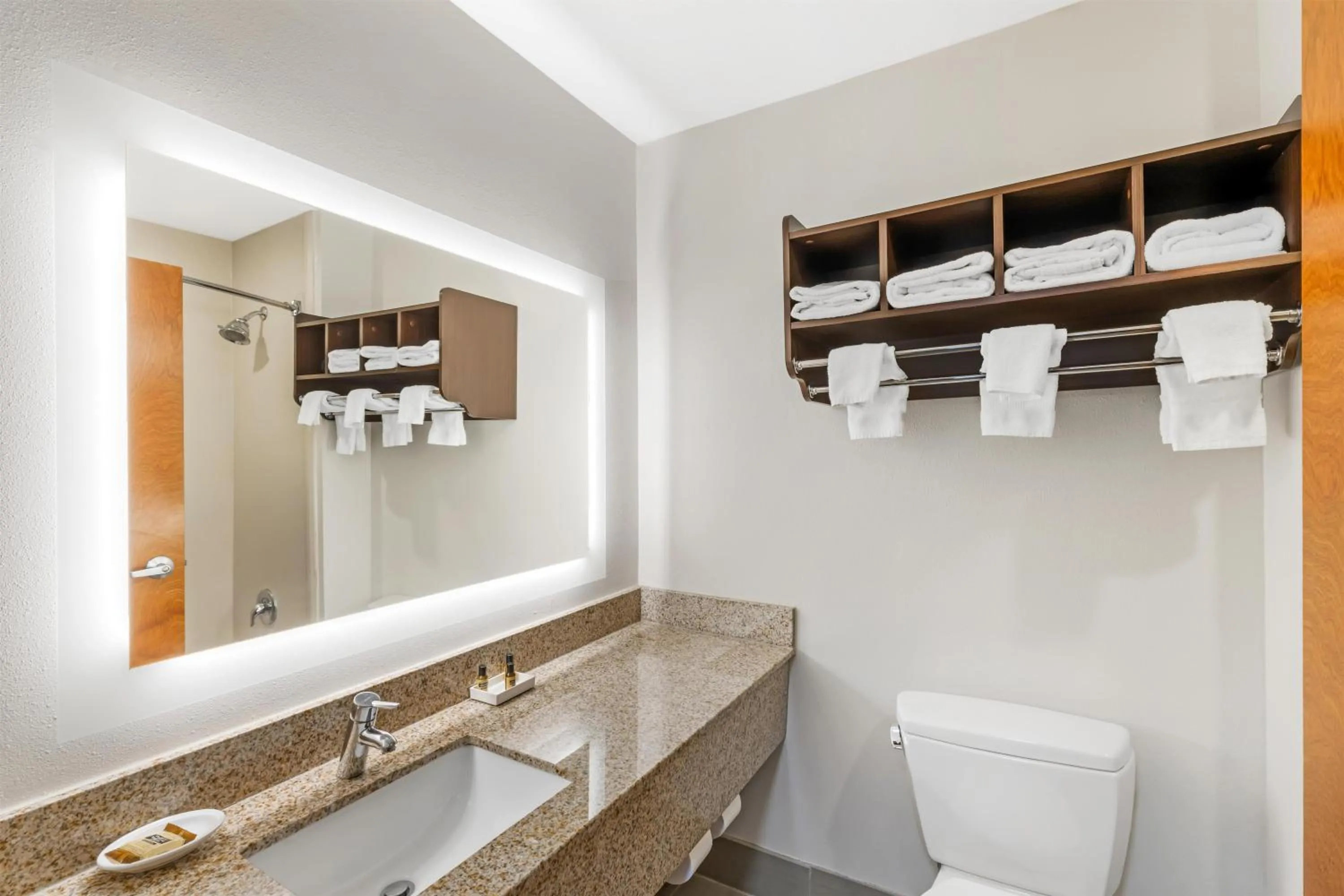 Bathroom in Best Western Plus McDonough Inn & Suites