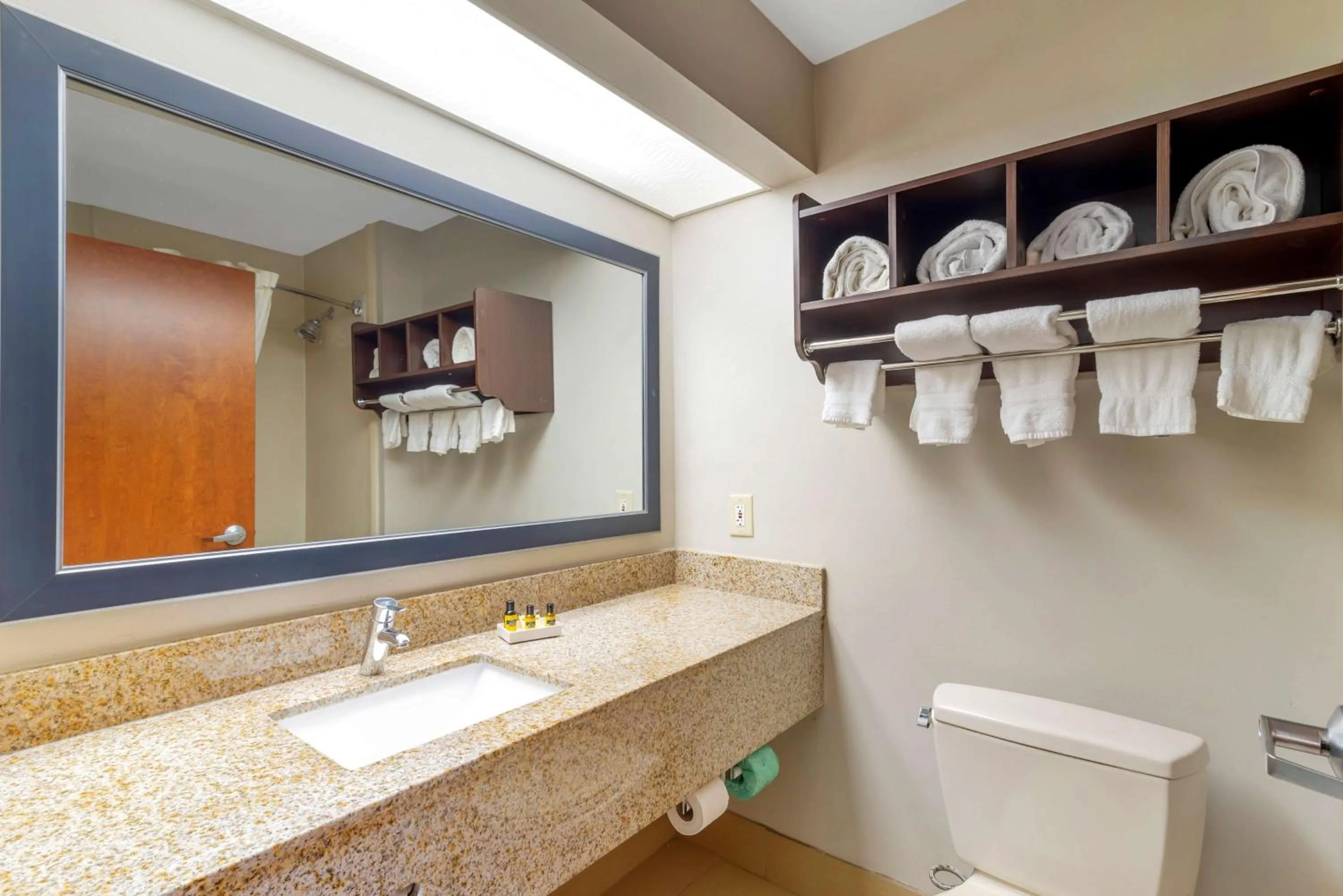 Bathroom in Best Western Plus McDonough Inn & Suites