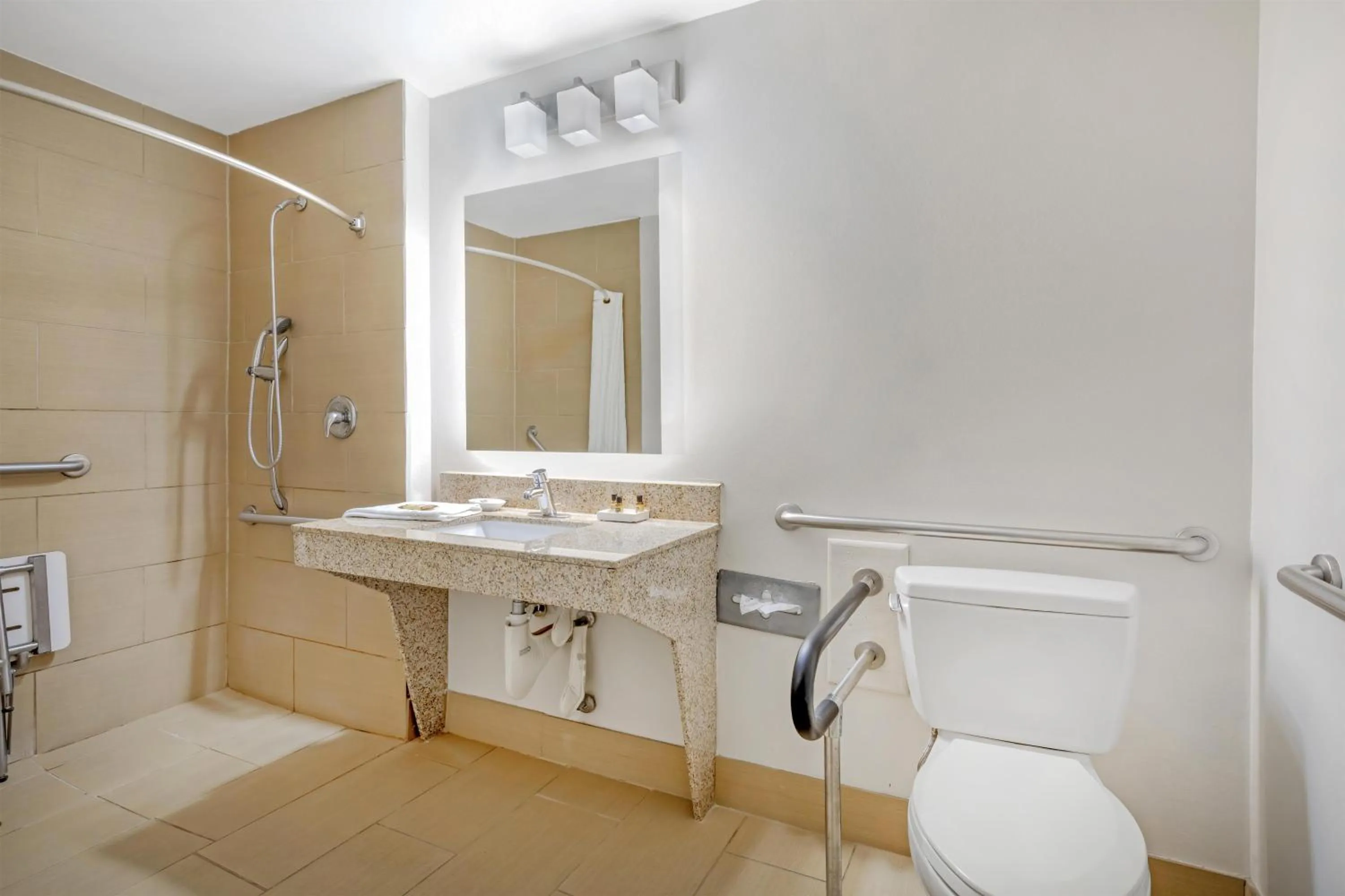 Bathroom in Best Western Plus McDonough Inn & Suites