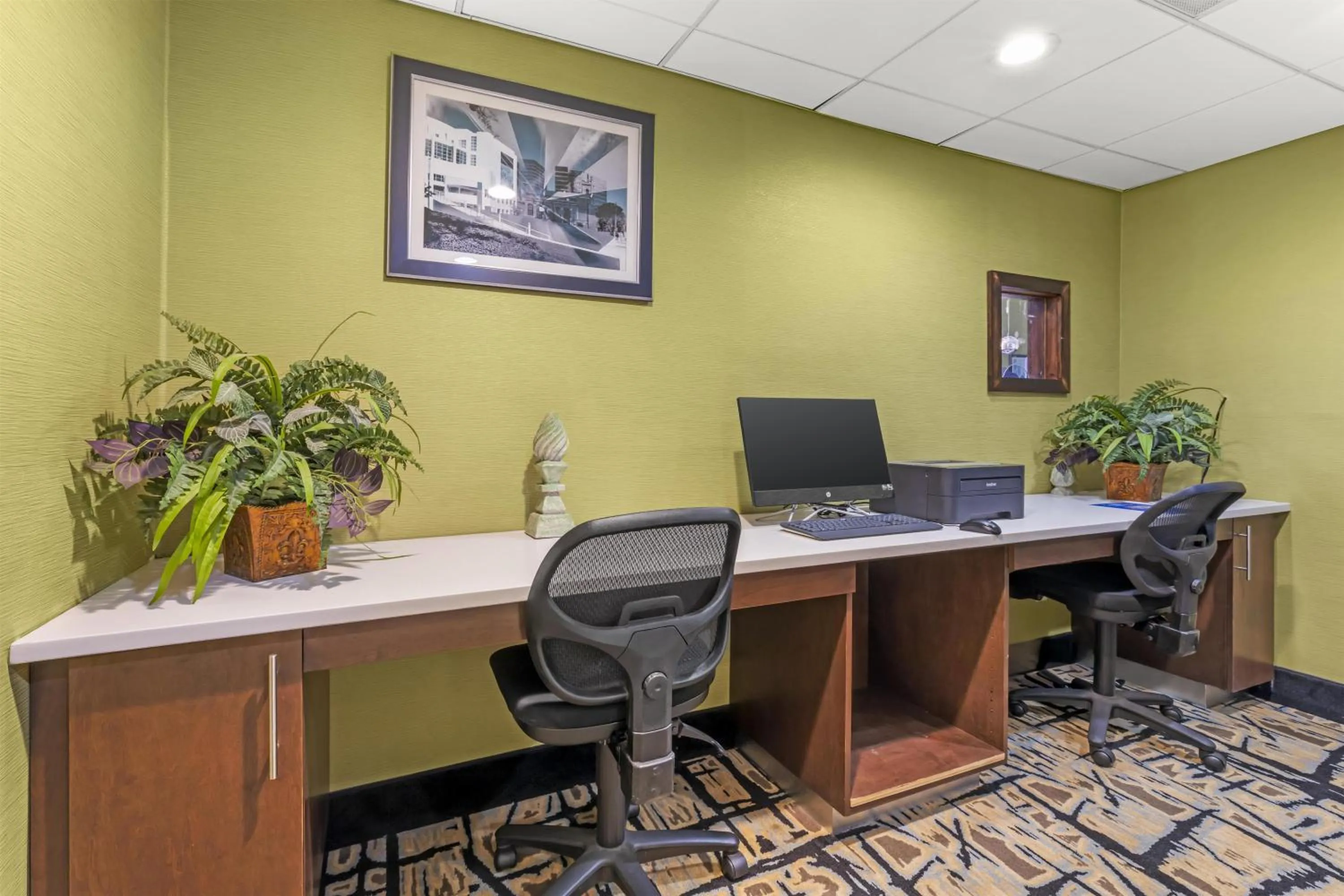 Business facilities in Best Western Plus McDonough Inn & Suites